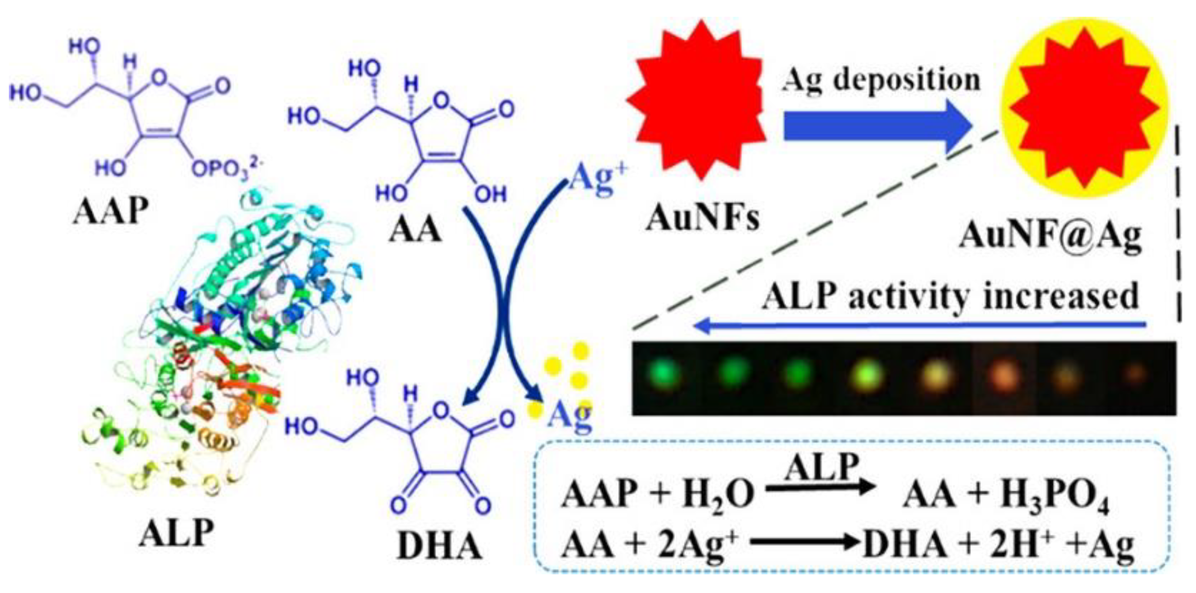 Nanomaterials 13 02027 g021 Nanomaterials 13 02027 g021