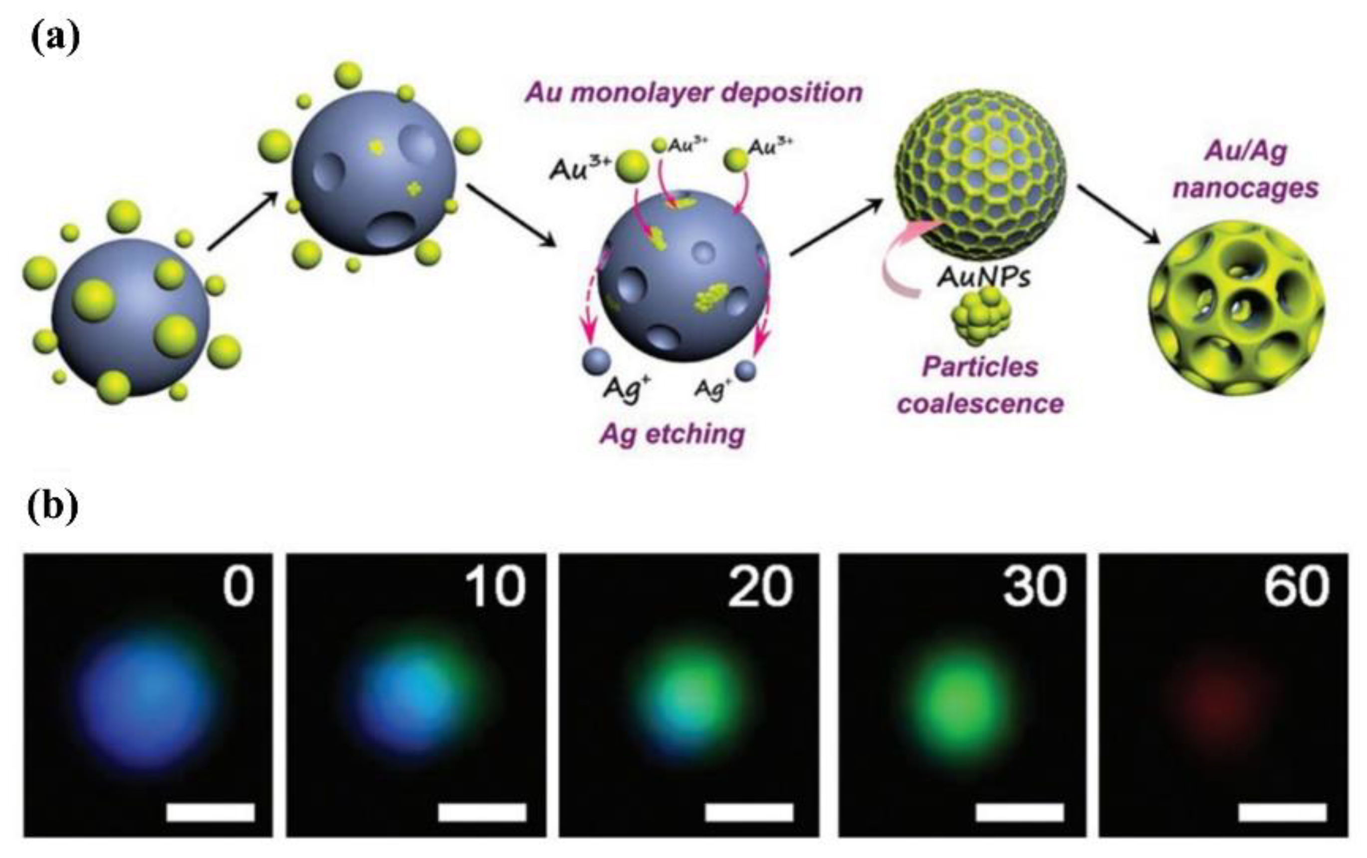 Nanomaterials 13 02027 g023 Nanomaterials 13 02027 g023