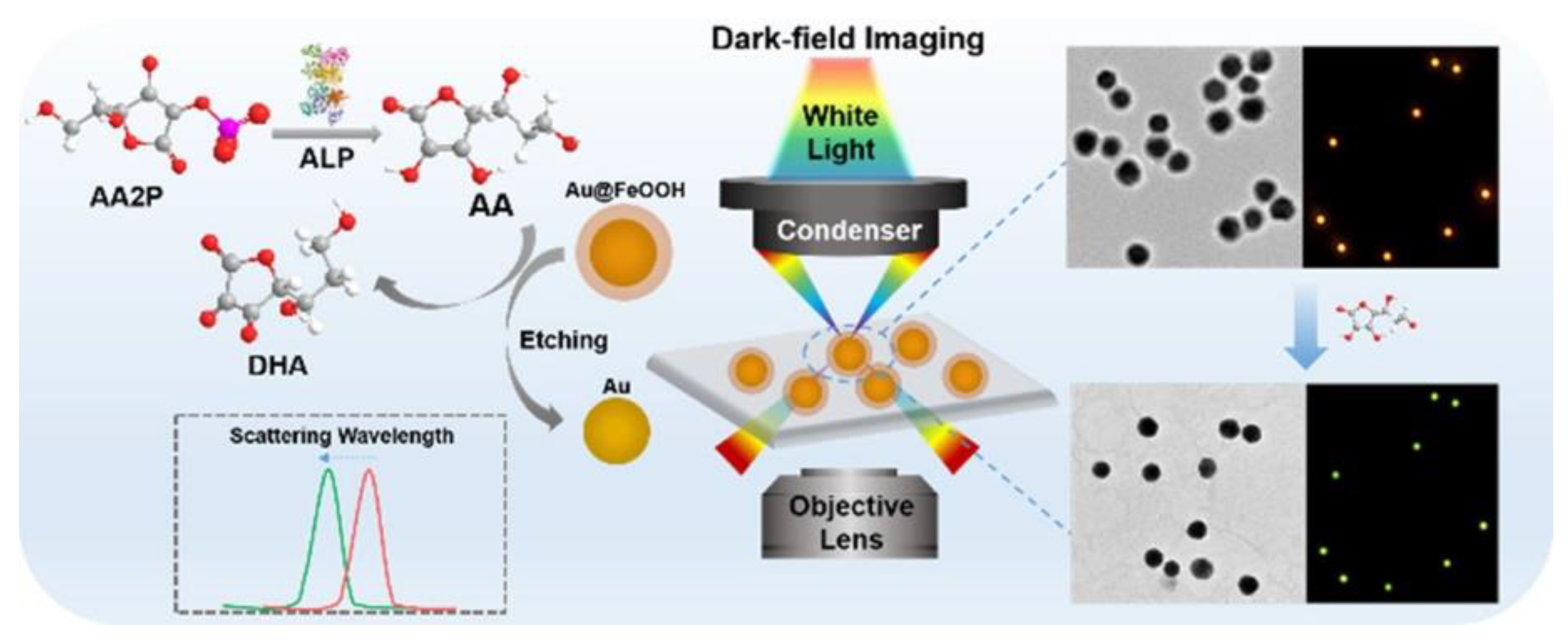 Nanomaterials 13 02027 g024 Nanomaterials 13 02027 g024