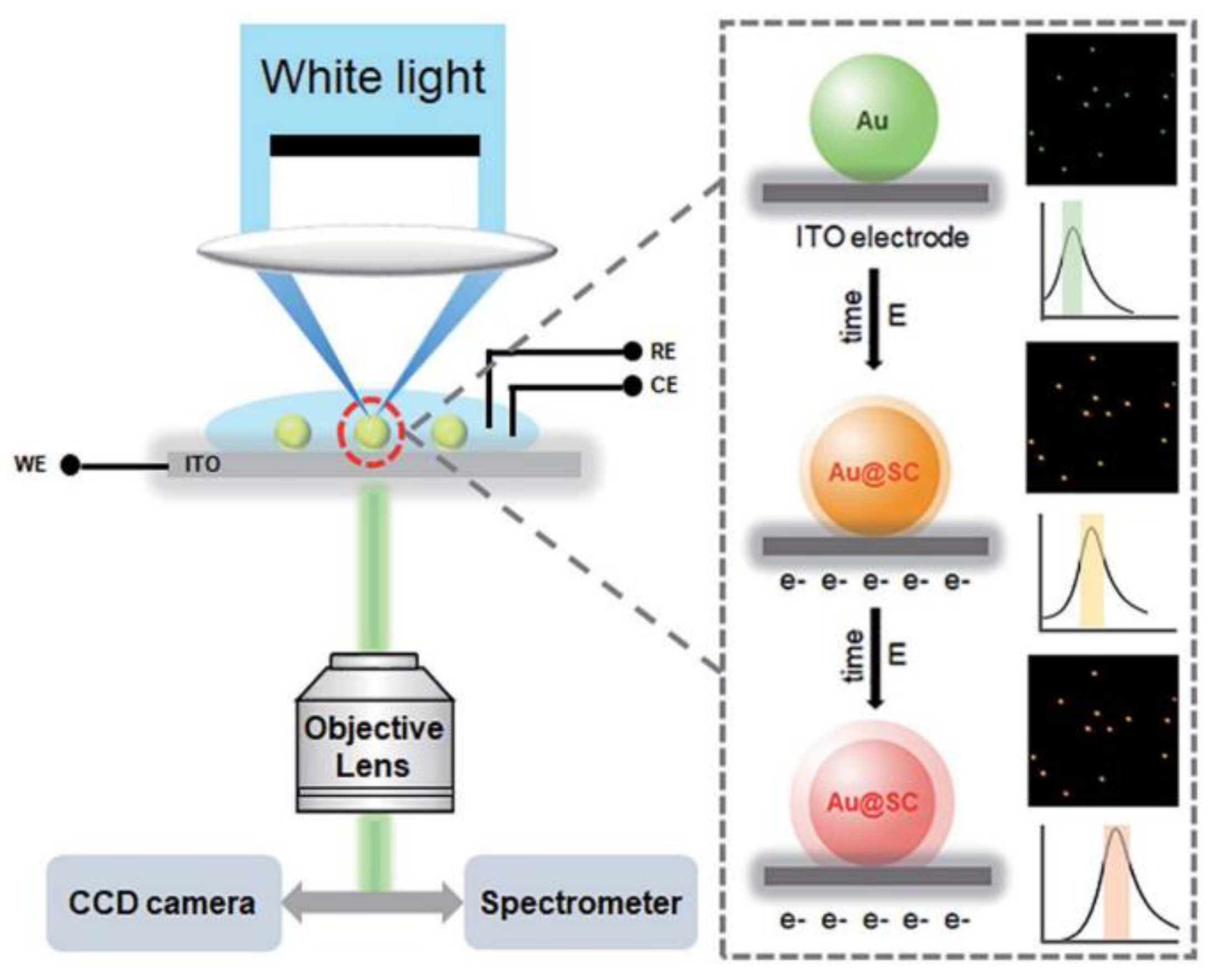 Nanomaterials 13 02027 g025 Nanomaterials 13 02027 g025