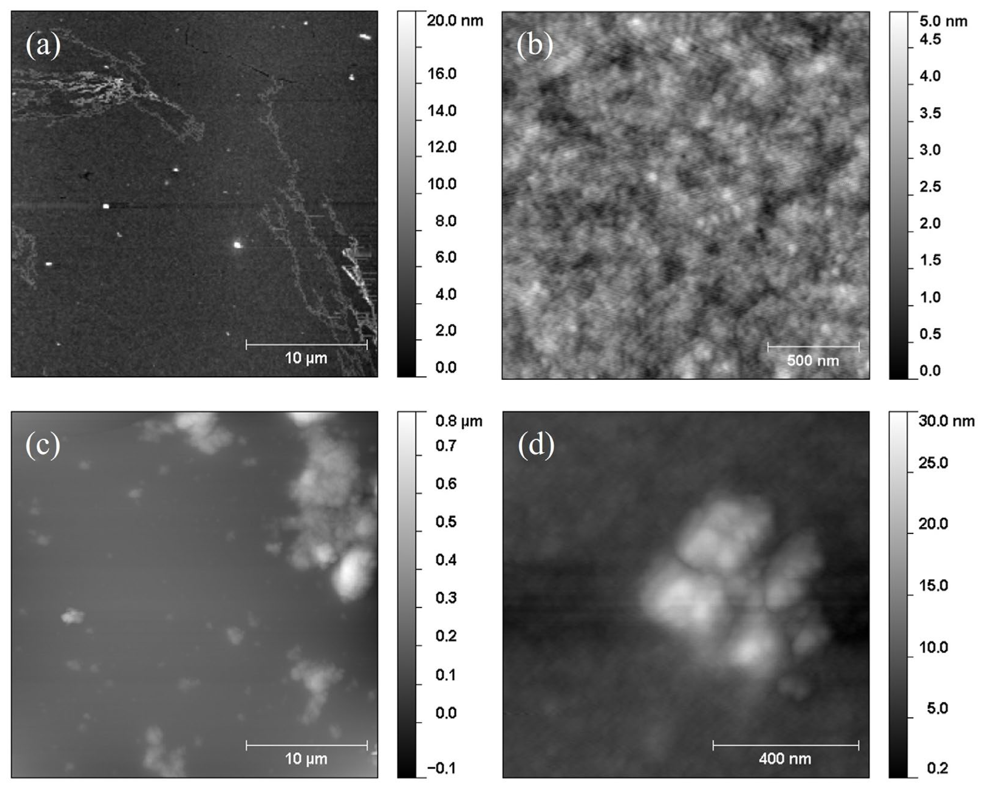 Nanomaterials 13 02029 g005