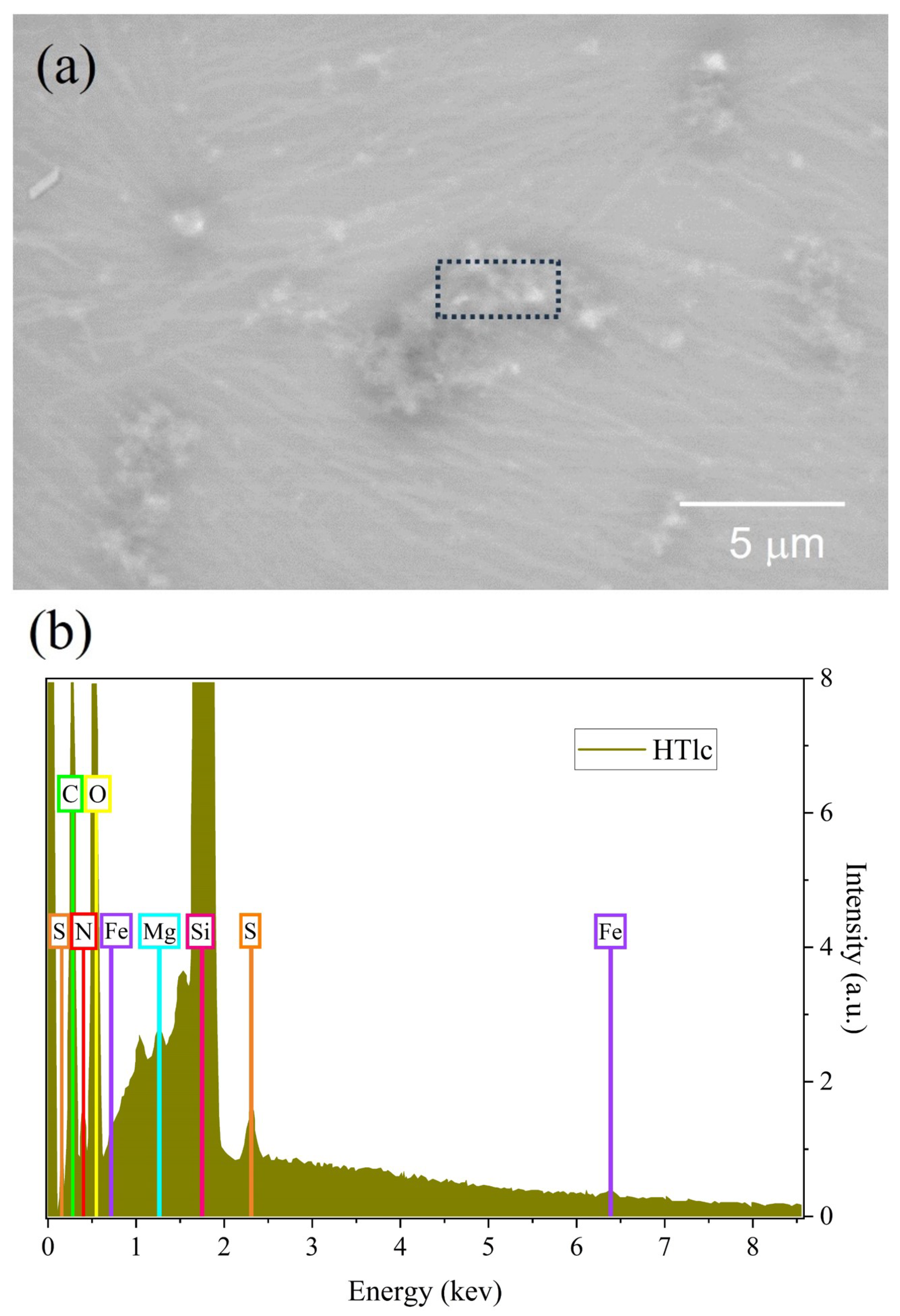 Nanomaterials 13 02029 g006
