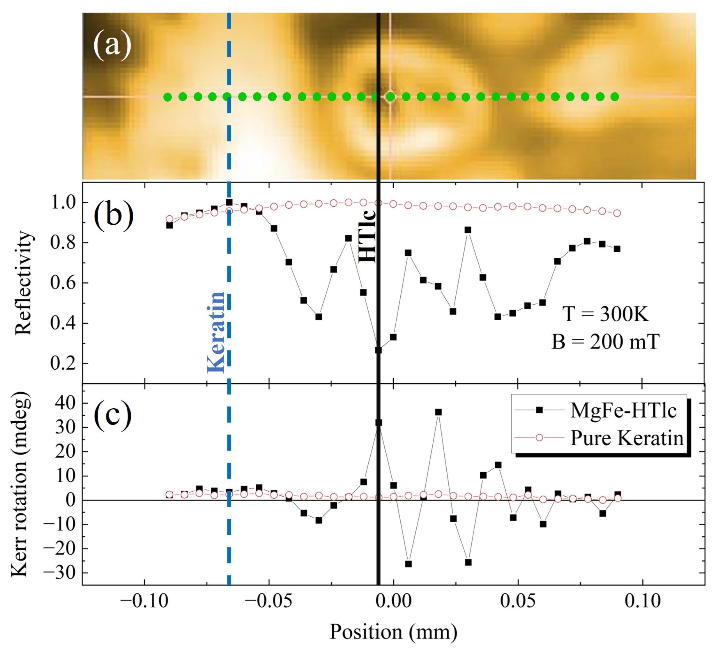 Nanomaterials 13 02029 g008