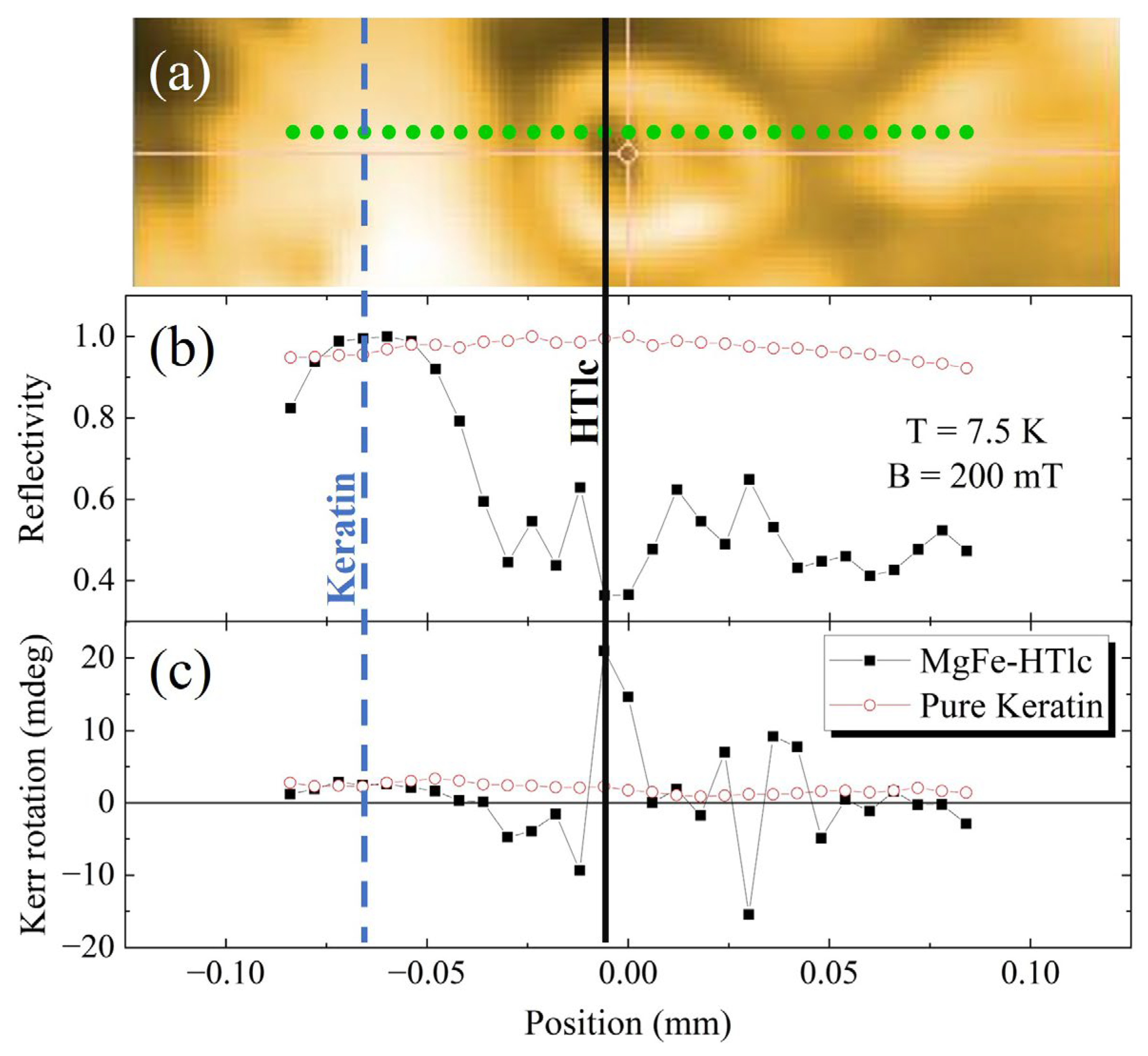 Nanomaterials 13 02029 g009