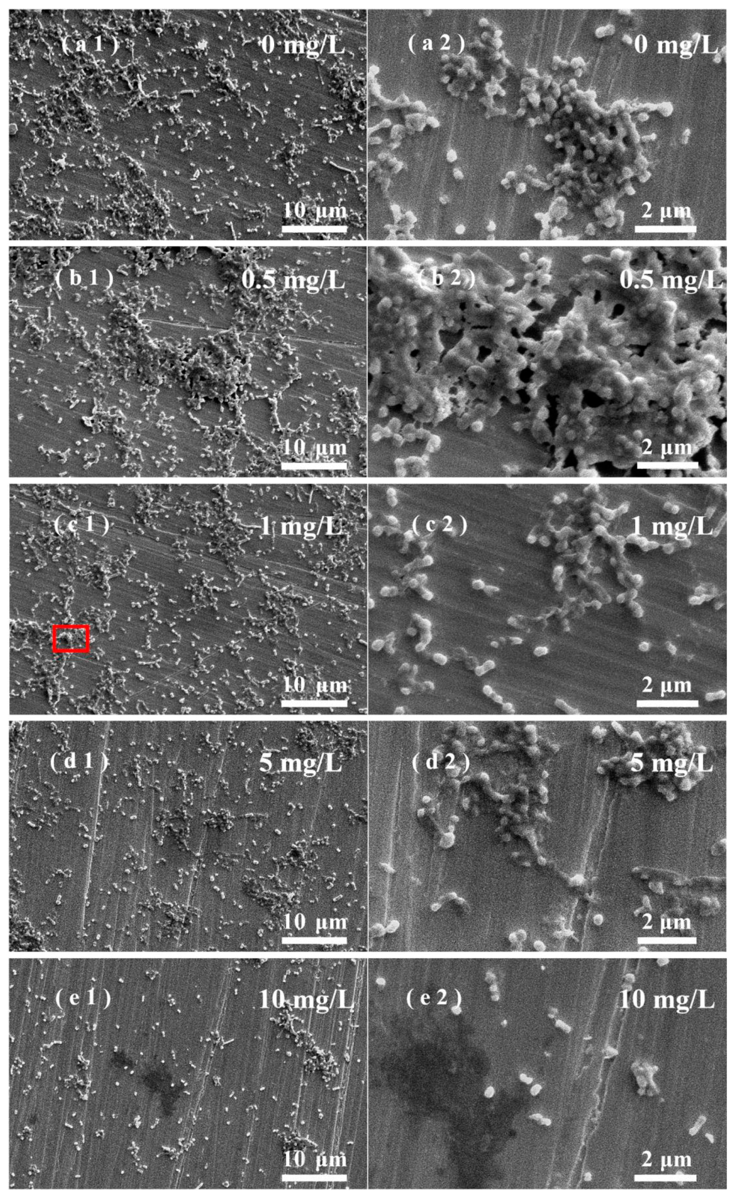 Nanomaterials 13 02033 g005 Nanomaterials 13 02033 g005