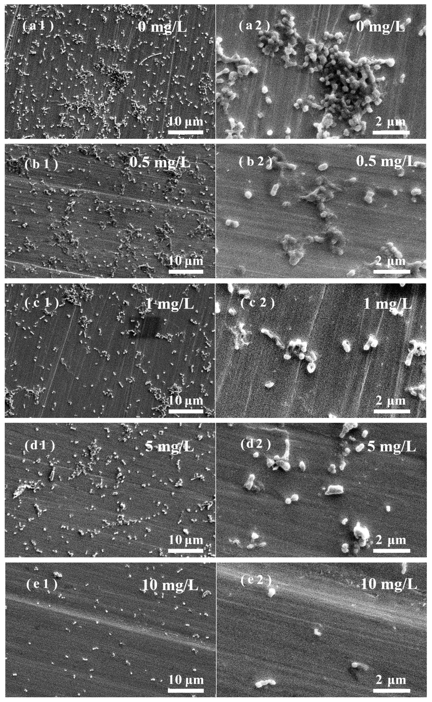Nanomaterials 13 02033 g006 Nanomaterials 13 02033 g006