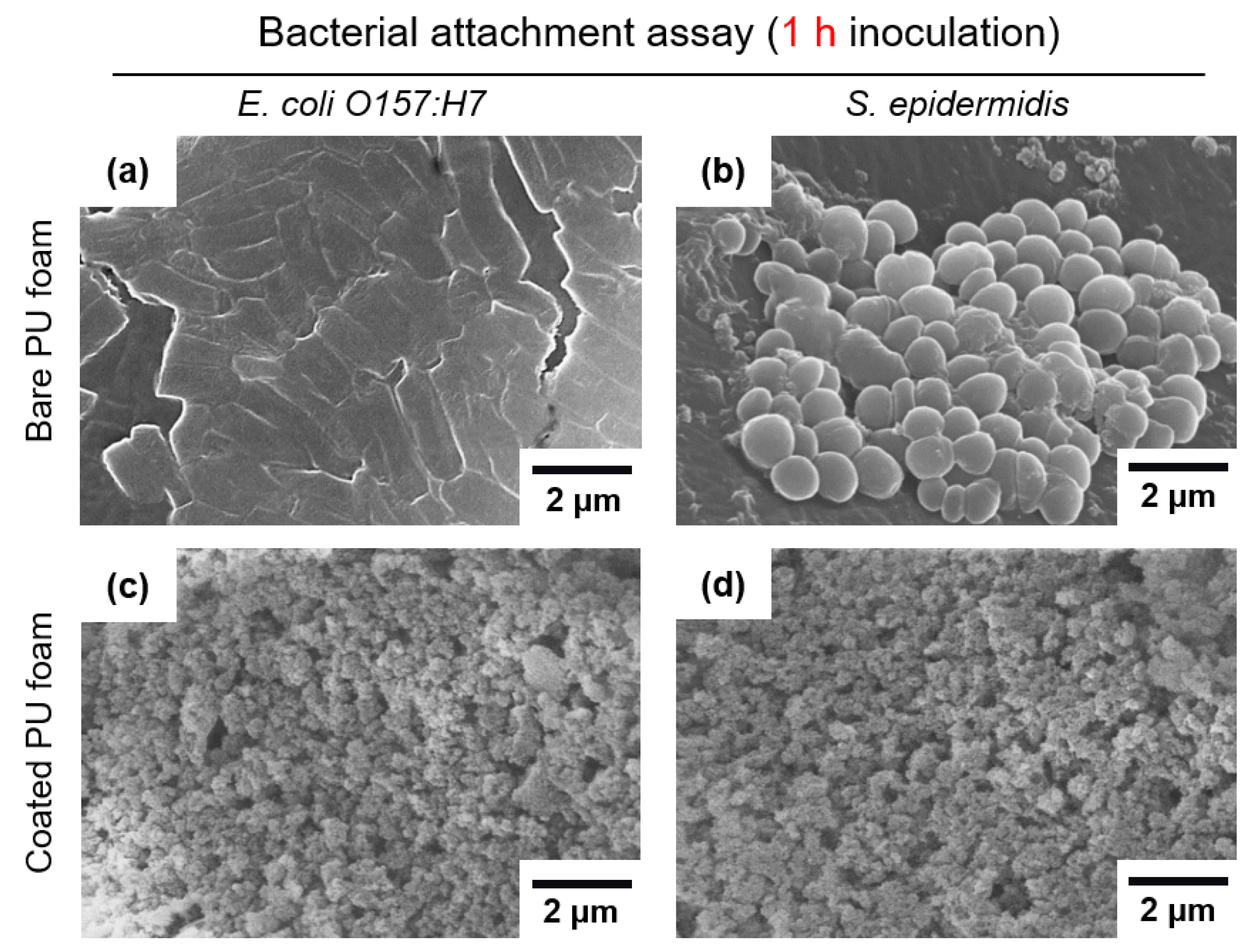 Nanomaterials 13 02035 g006 Nanomaterials 13 02035 g006