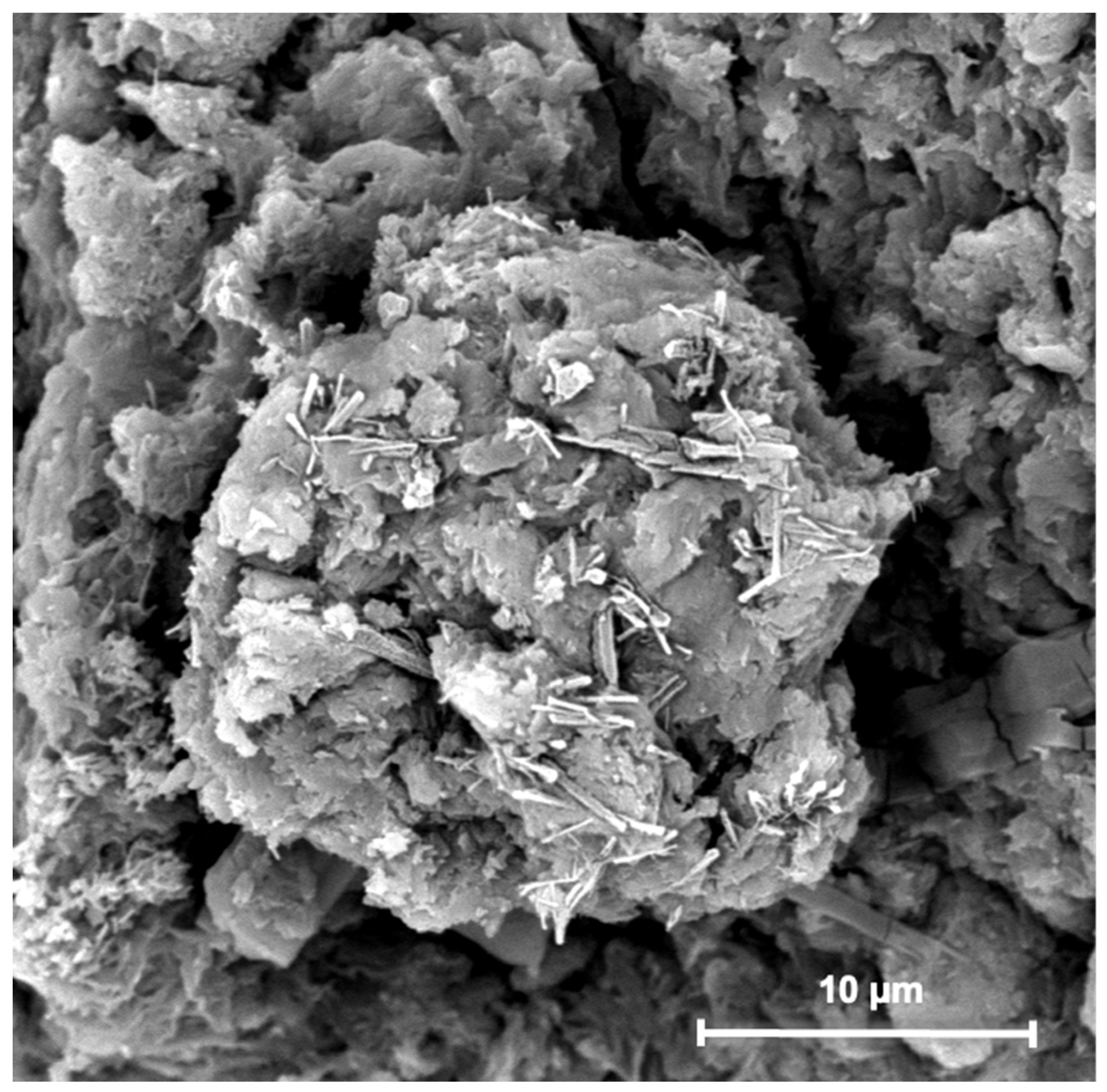 Nanomaterials 13 02036 g004 Nanomaterials 13 02036 g004