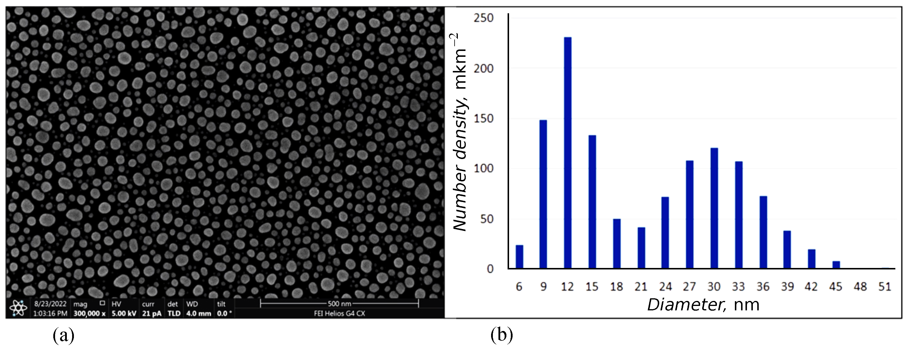 Nanomaterials 13 02039 g002