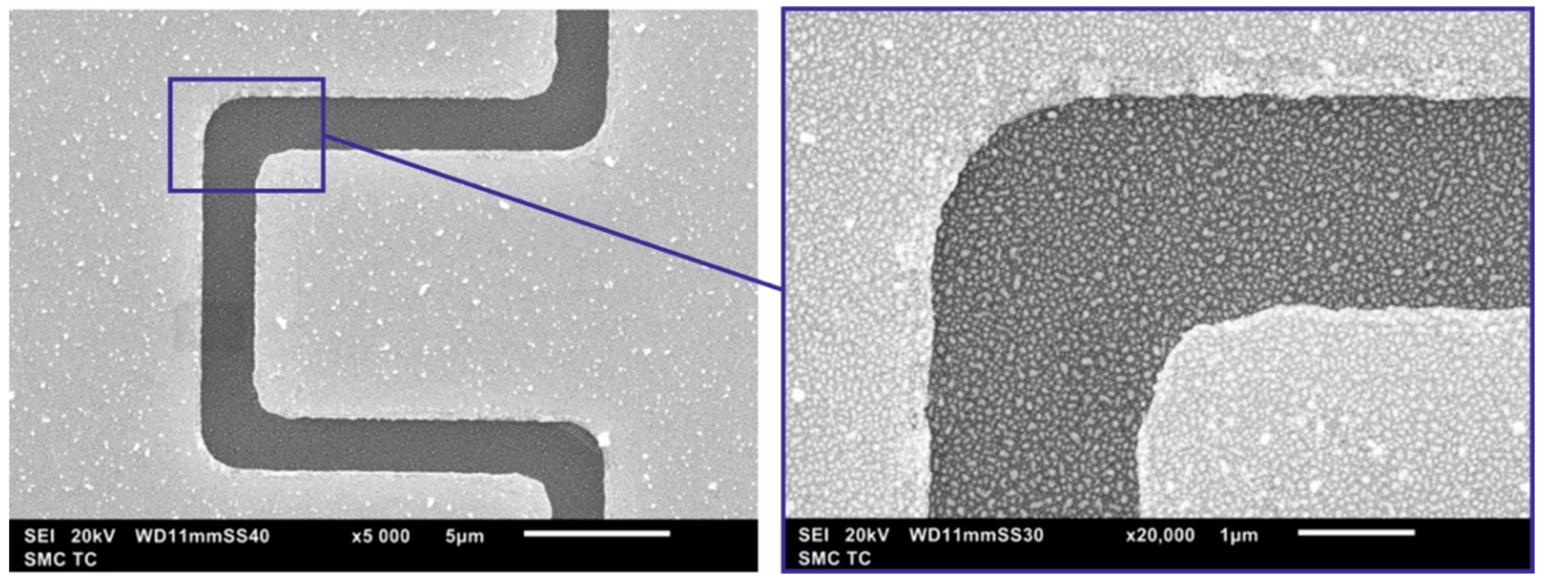 Nanomaterials 13 02039 g005