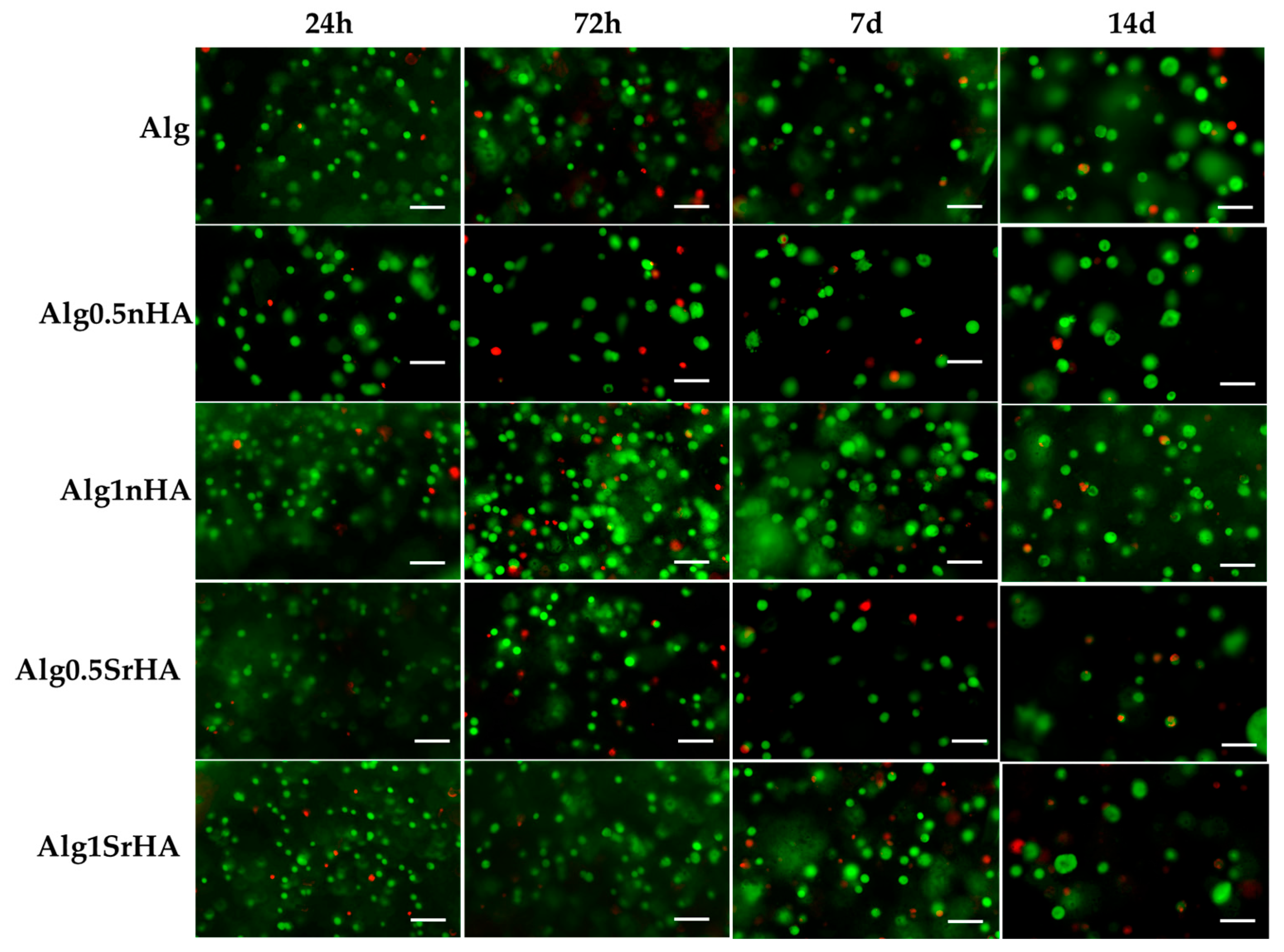Nanomaterials 13 02040 g008 Nanomaterials 13 02040 g008