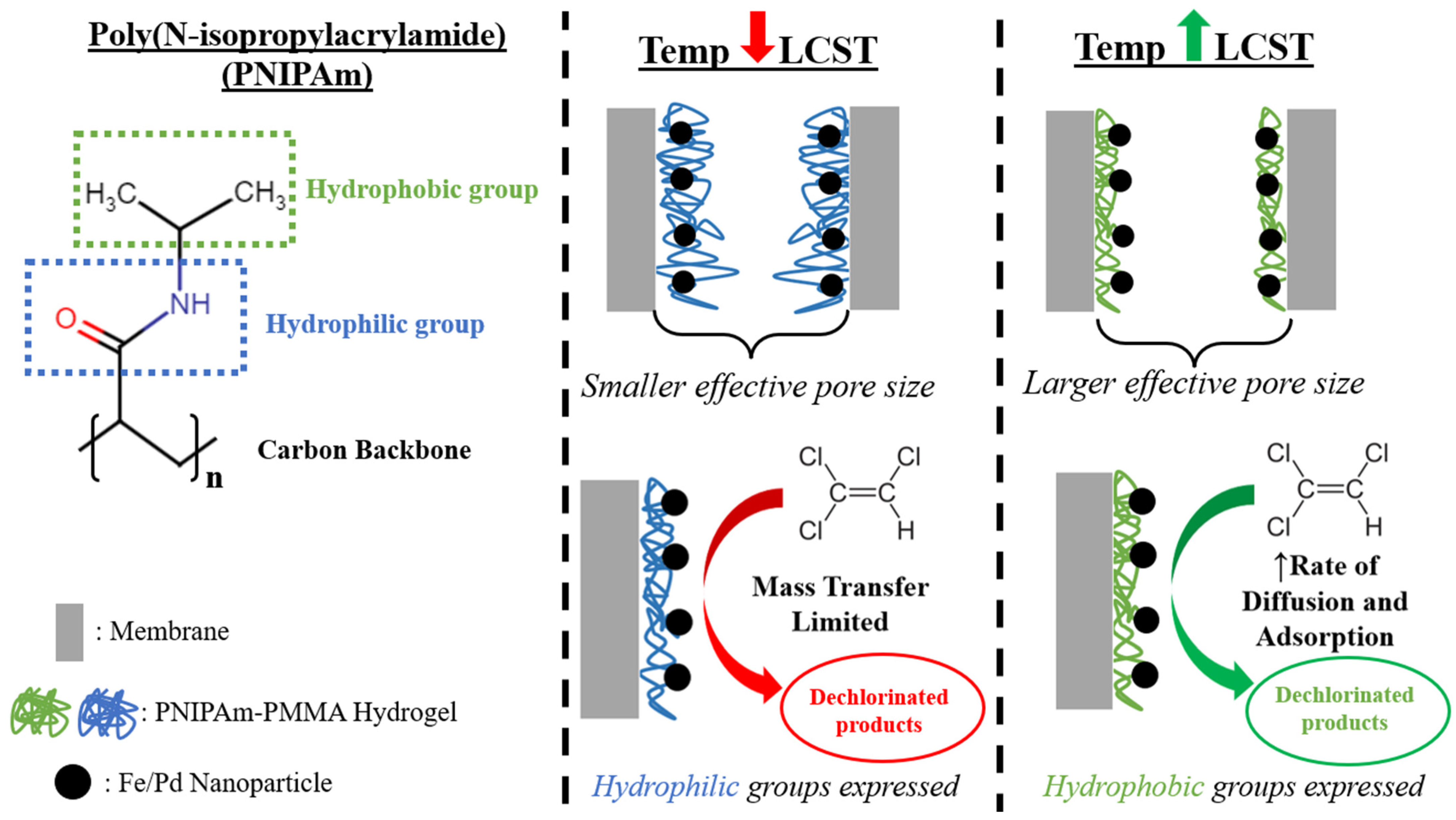 Nanomaterials 13 02041 g001 Nanomaterials 13 02041 g001