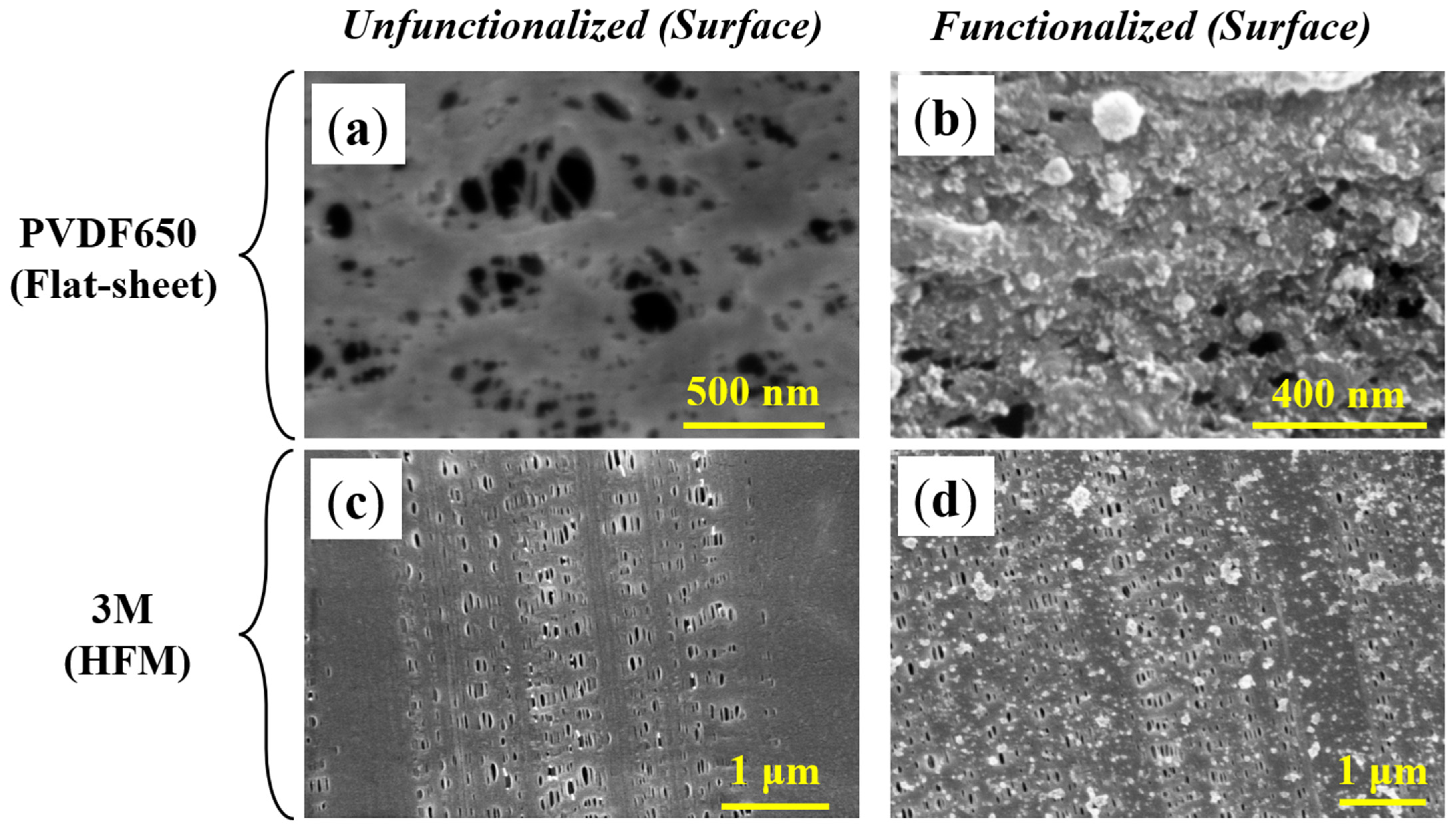 Nanomaterials 13 02041 g005 Nanomaterials 13 02041 g005