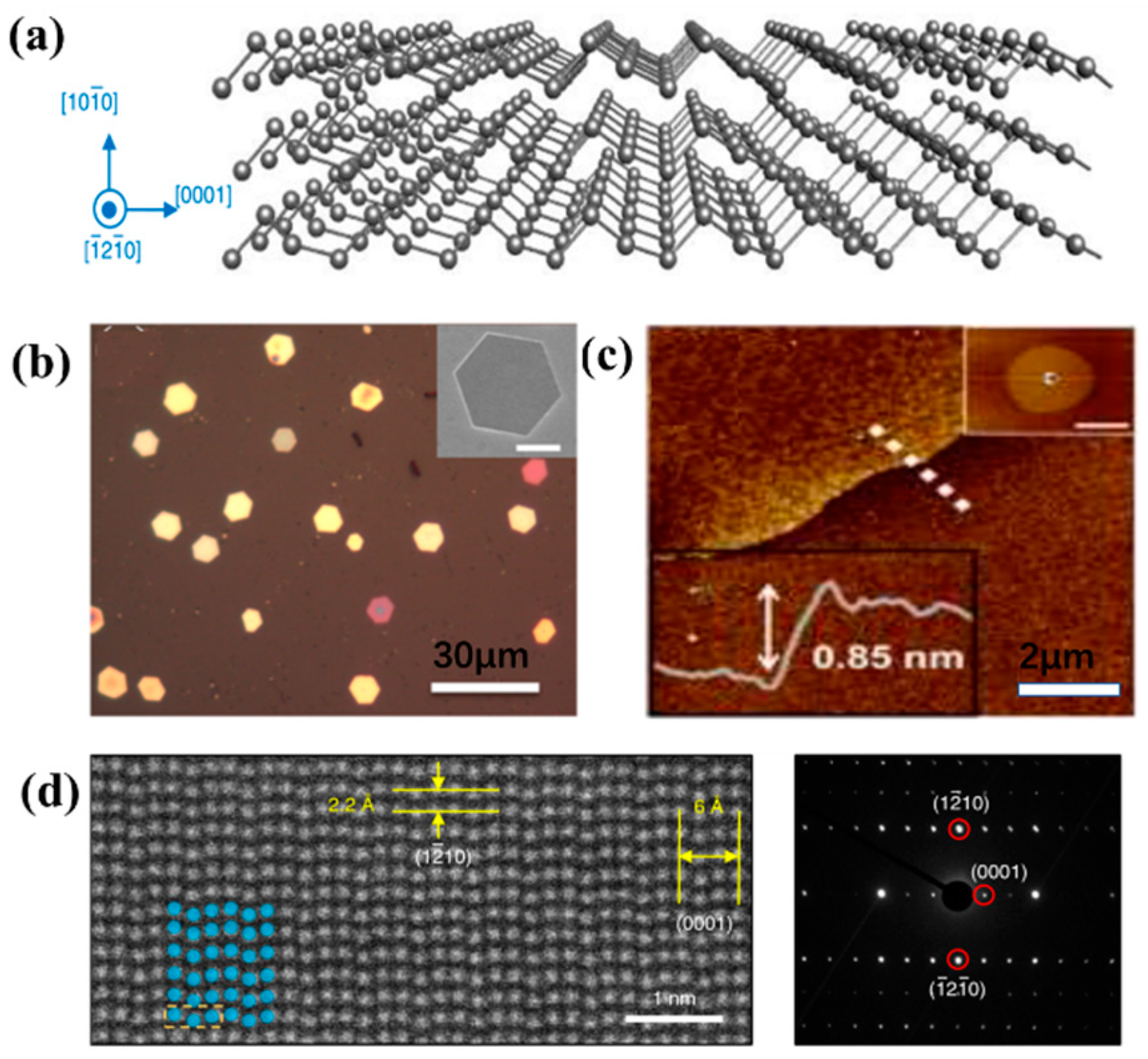 Nanomaterials 13 02057 g005