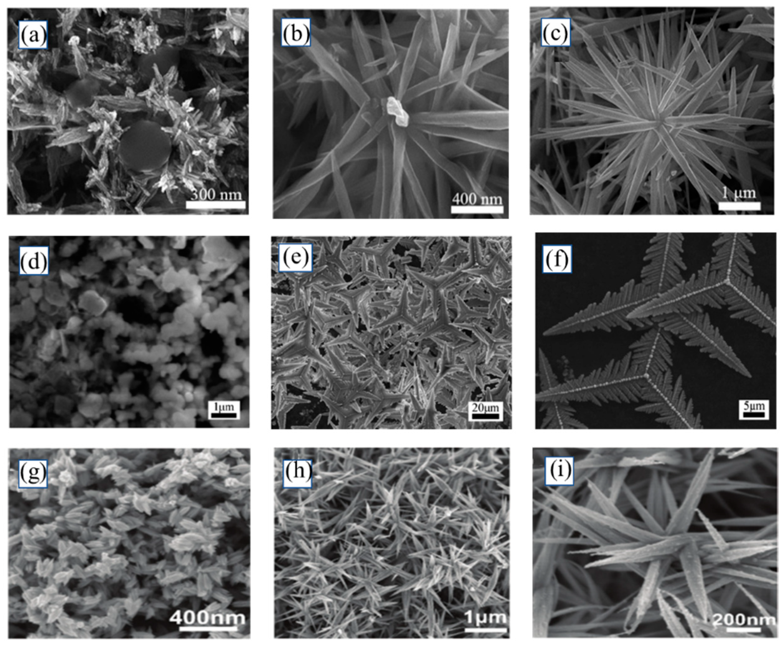 Nanomaterials 13 02057 g006