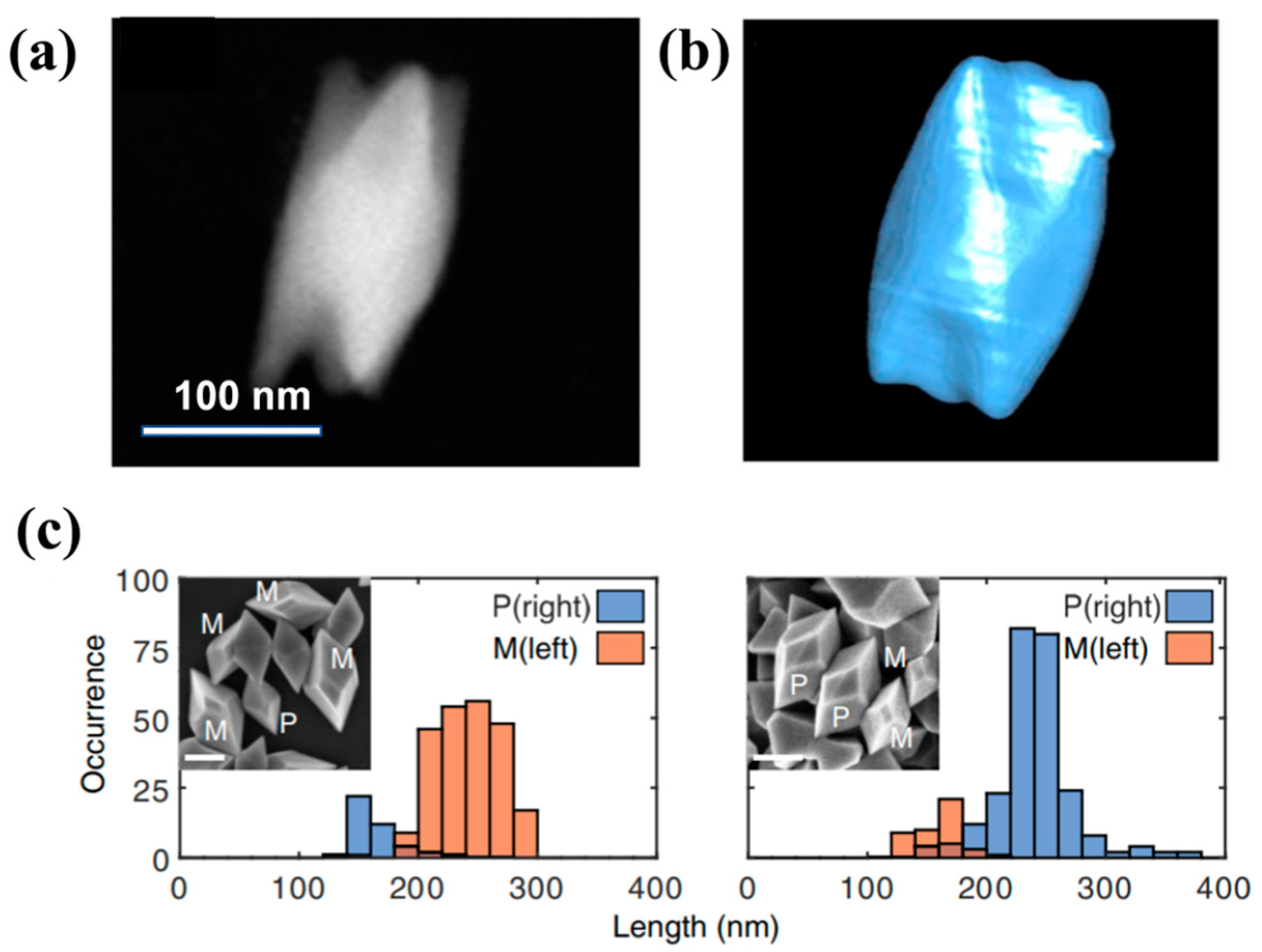 Nanomaterials 13 02057 g007