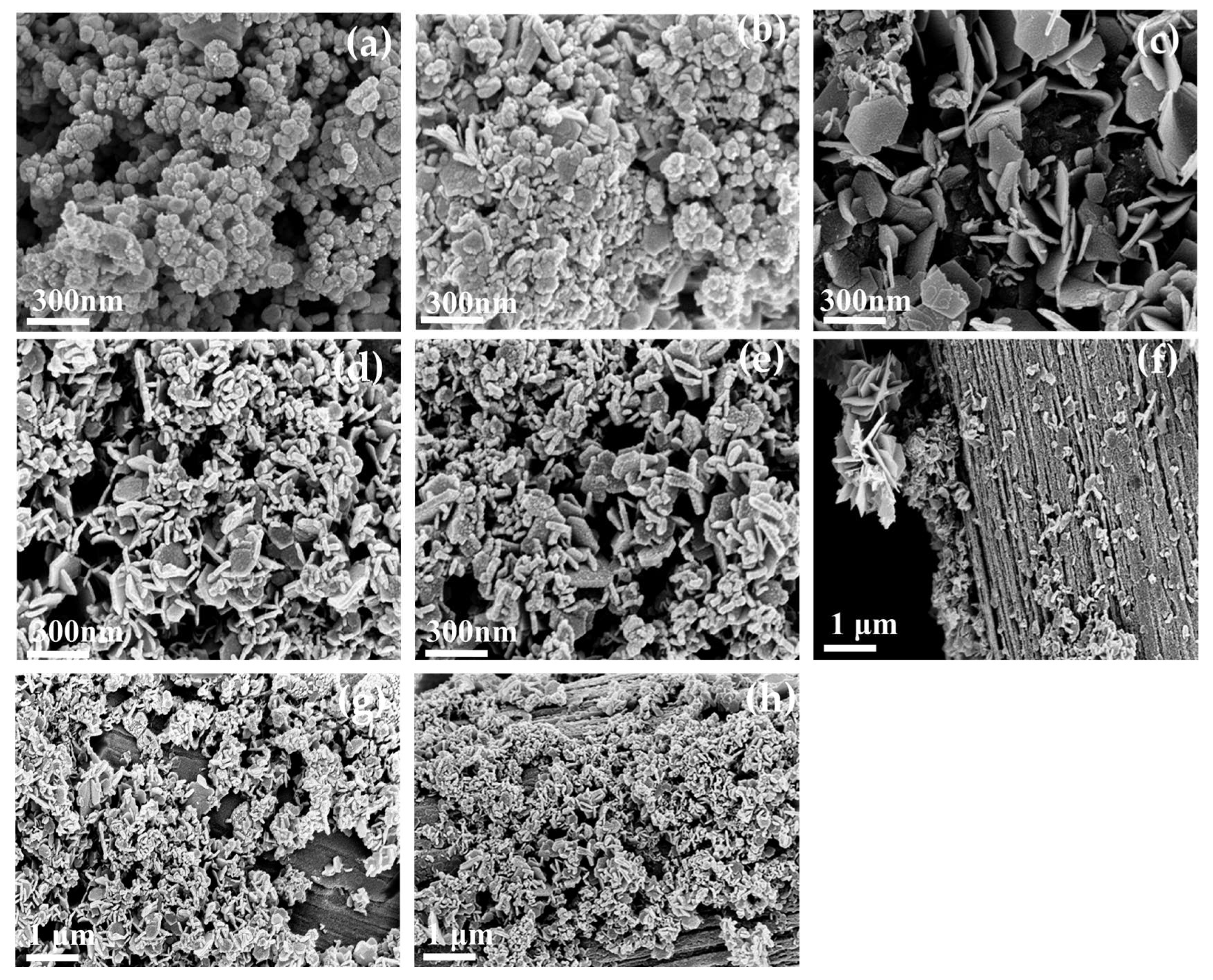 Nanomaterials 13 02060 g001 Nanomaterials 13 02060 g001