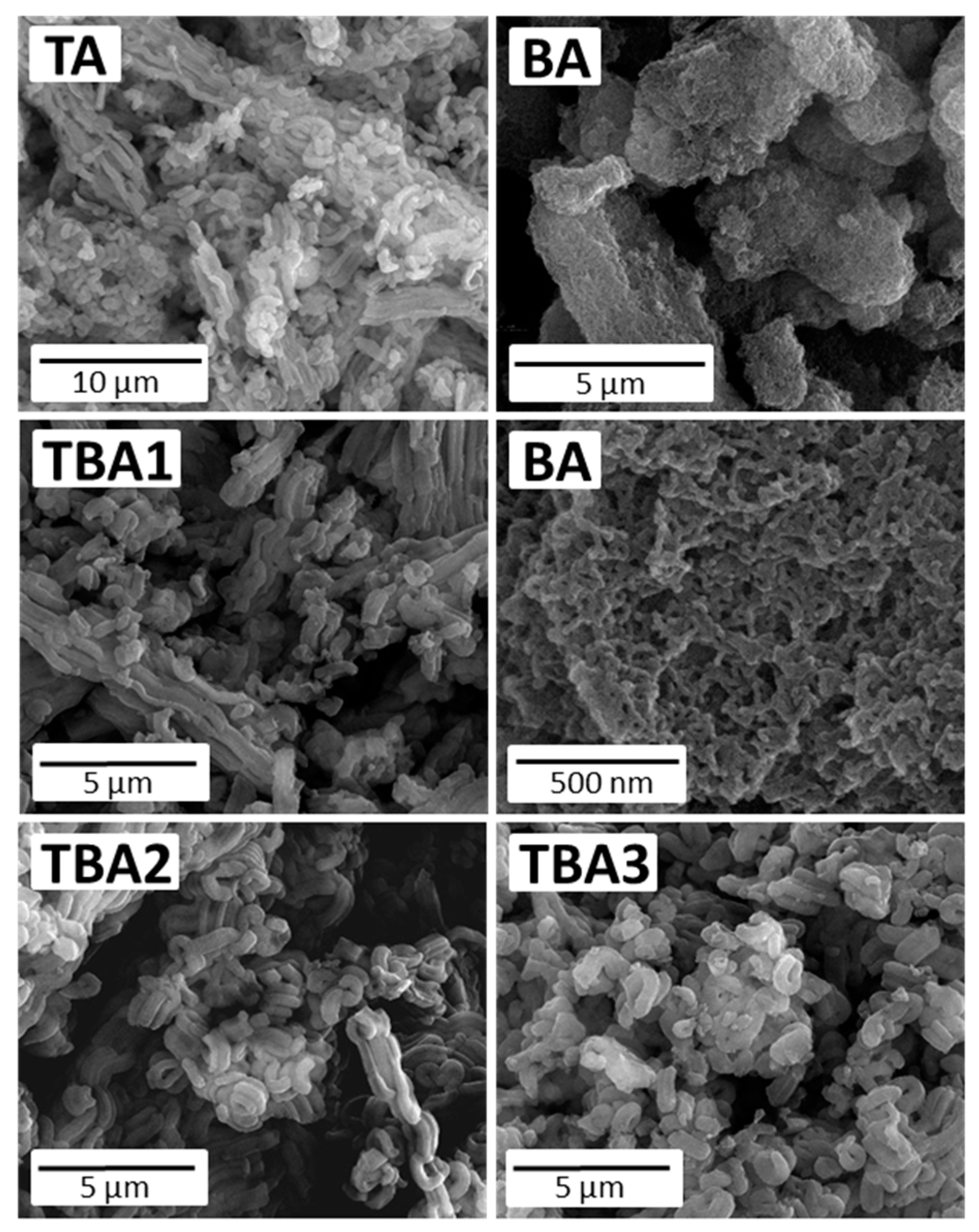 Nanomaterials 13 02065 g002