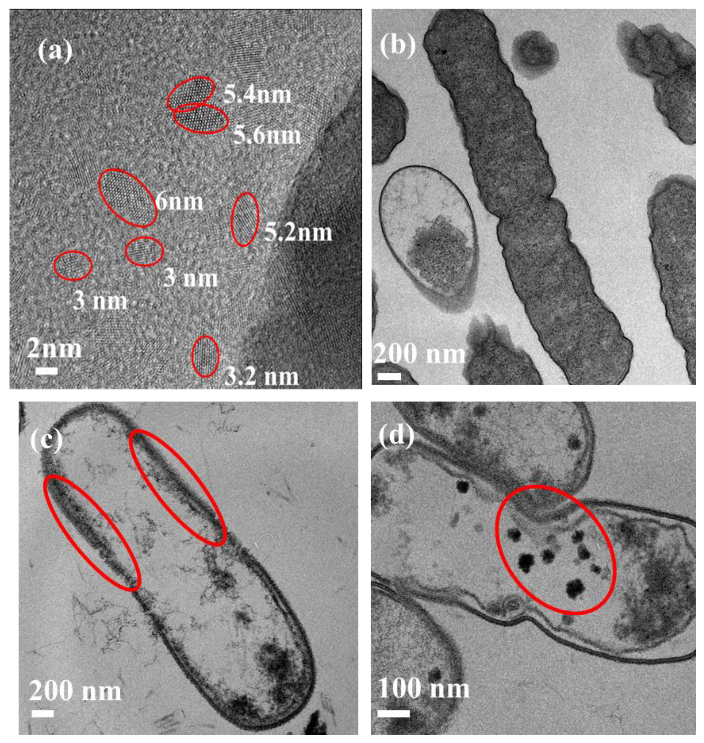 Nanomaterials 13 02068 g003 Nanomaterials 13 02068 g003