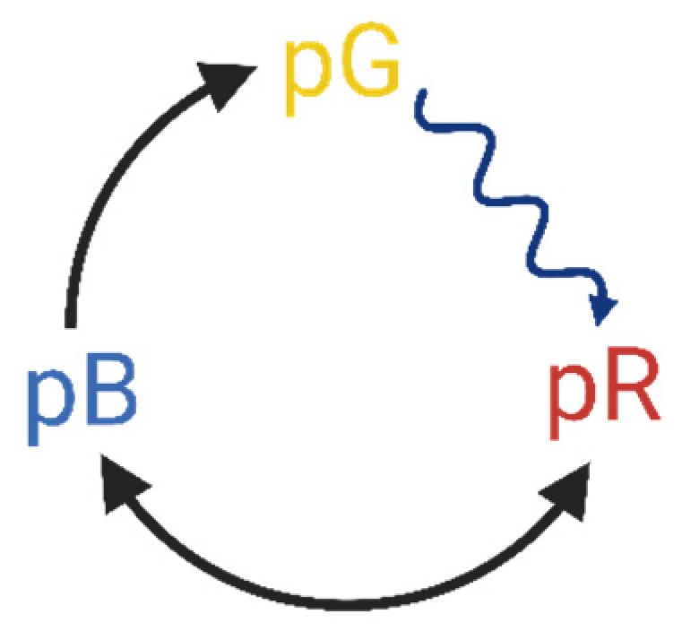 Nanomaterials 13 02070 g001 Nanomaterials 13 02070 g001