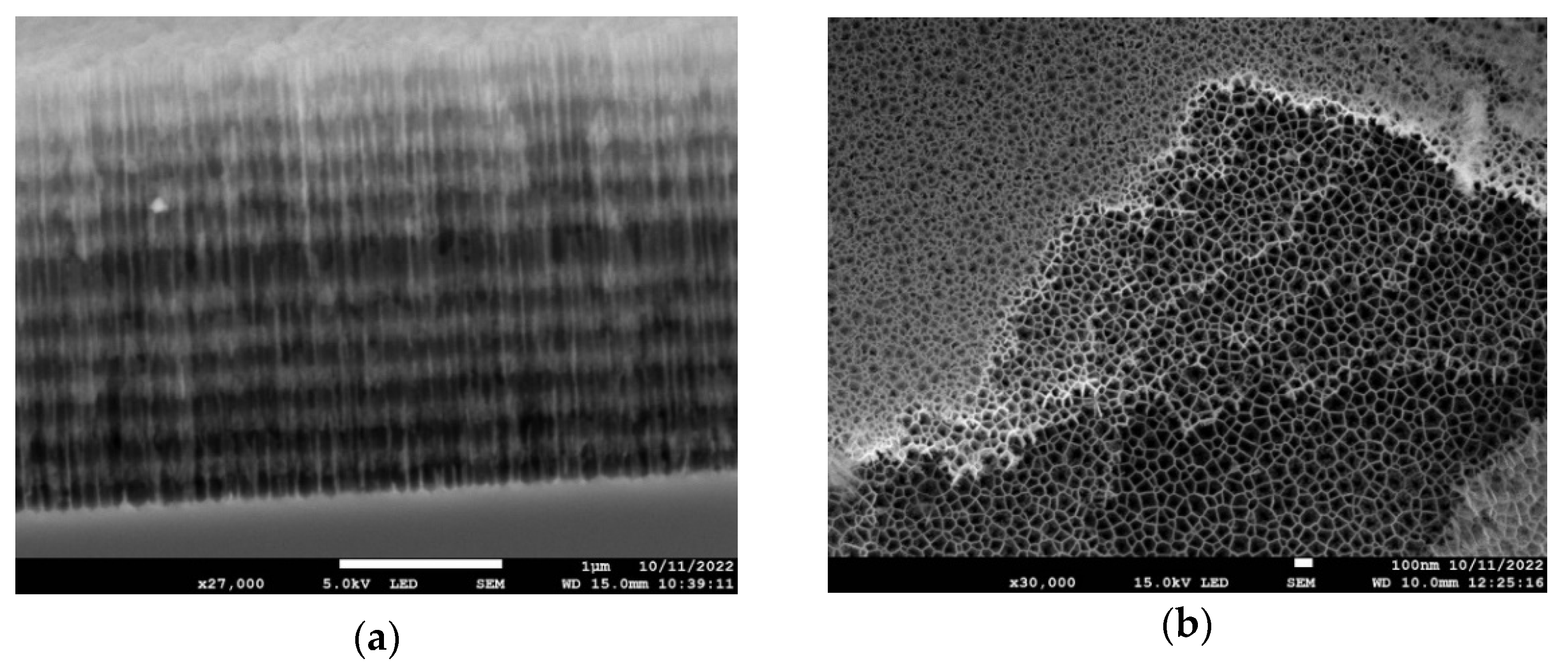 Nanomaterials 13 02070 g004 Nanomaterials 13 02070 g004
