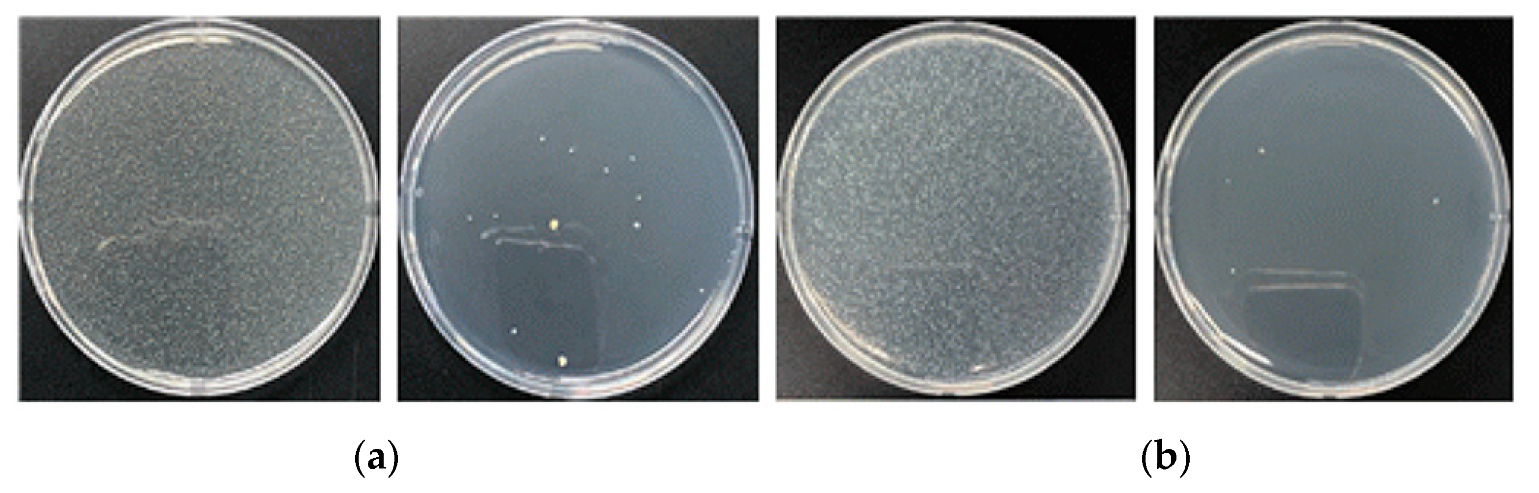 Nanomaterials 13 02071 g009 Nanomaterials 13 02071 g009