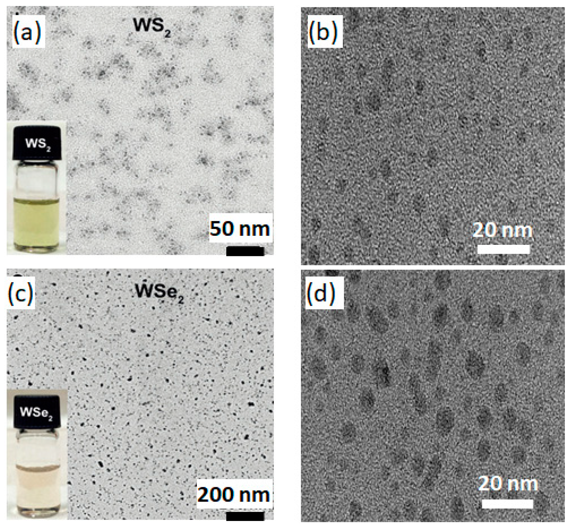 Nanomaterials 13 02075 g002 Nanomaterials 13 02075 g002