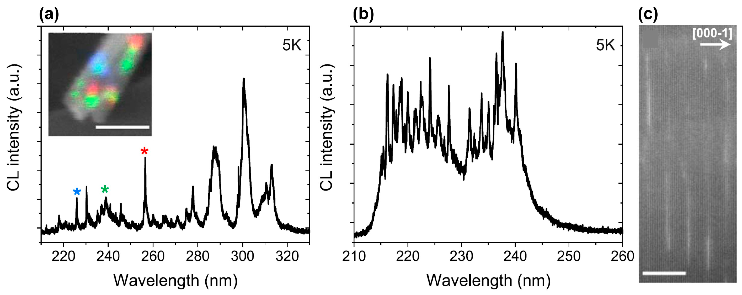 Nanomaterials 13 02080 g024