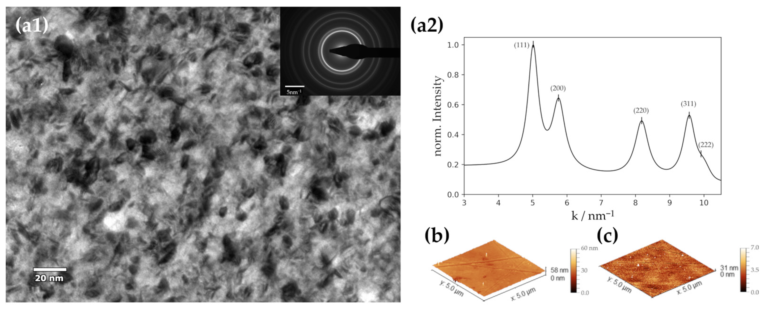 Nanomaterials 13 02085 g001 Nanomaterials 13 02085 g001
