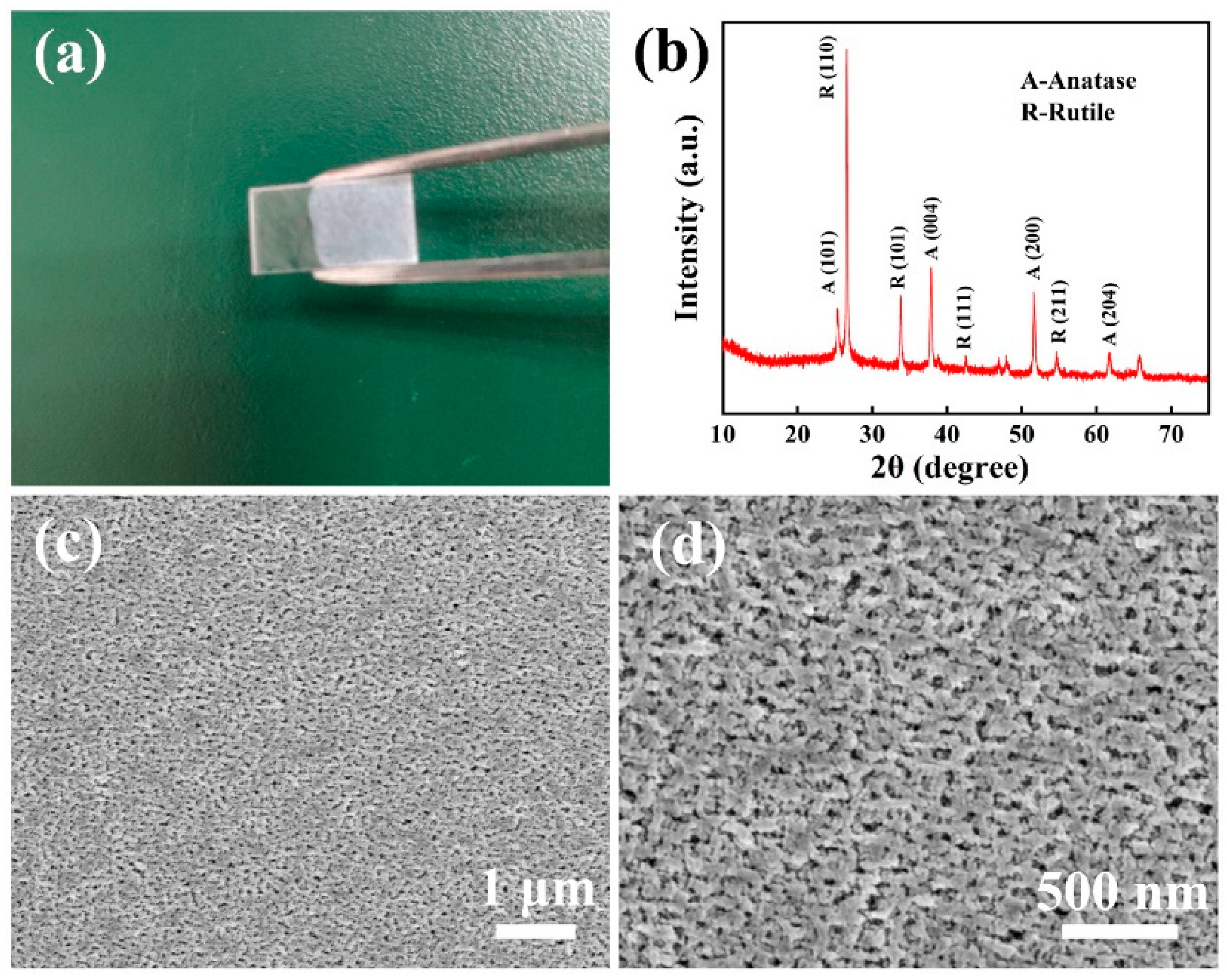 Nanomaterials 13 02086 g005