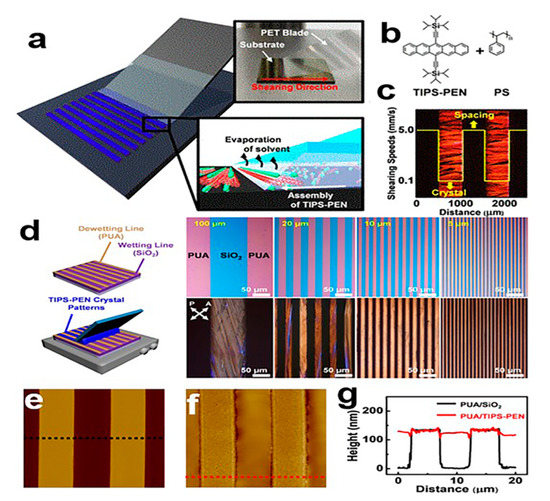 Optical Array Particles Nanocrystal Array Engineering and Optoelectronic Applications of ...