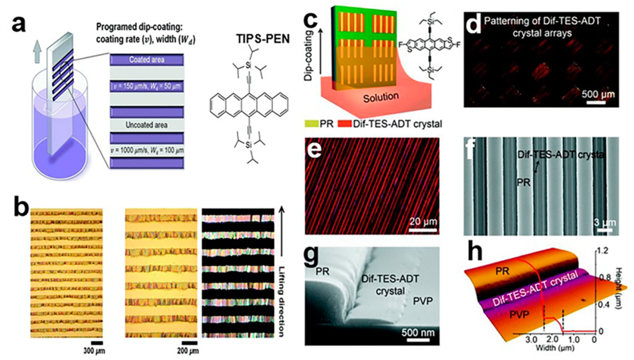 Nanomaterials 13 02087 g014 Nanomaterials 13 02087 g014