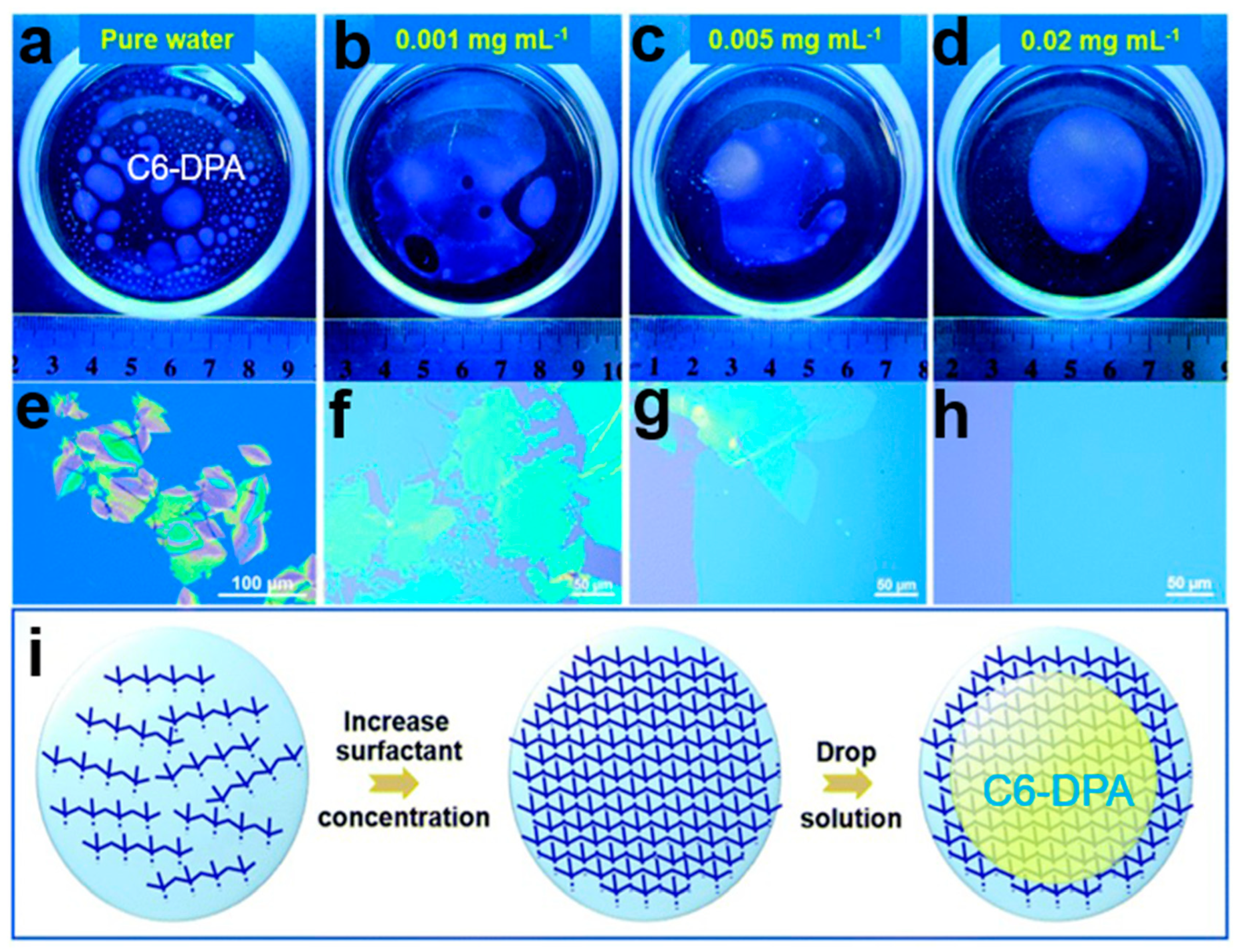 Nanomaterials 13 02087 g026 Nanomaterials 13 02087 g026