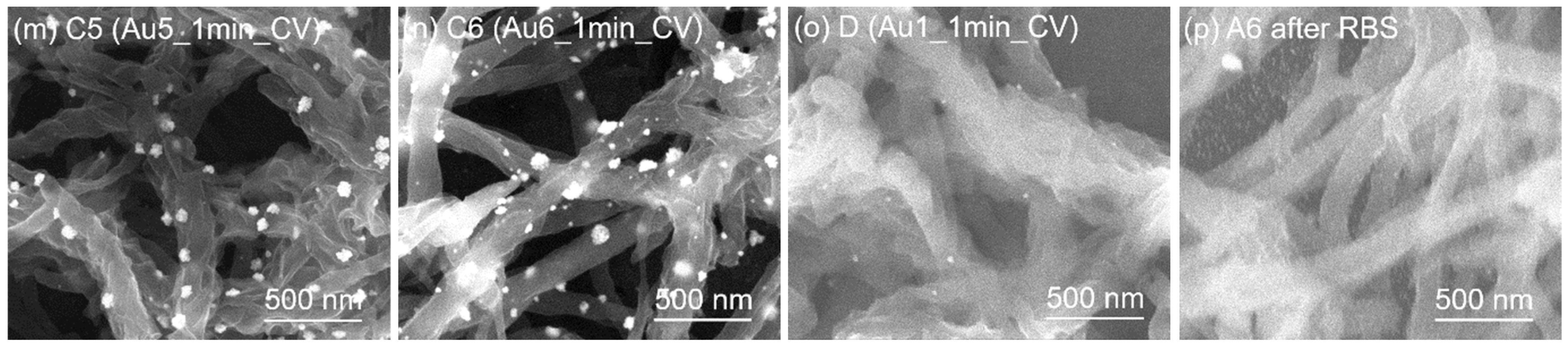 Nanomaterials 13 02089 g004b Nanomaterials 13 02089 g004b
