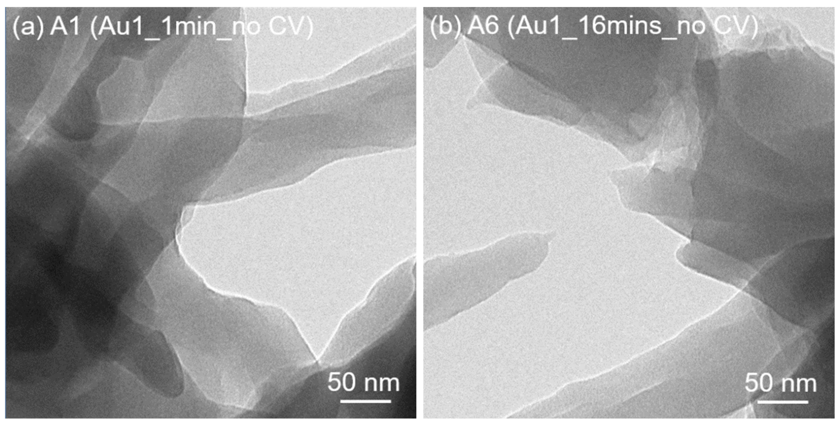 Nanomaterials 13 02089 g006a Nanomaterials 13 02089 g006a