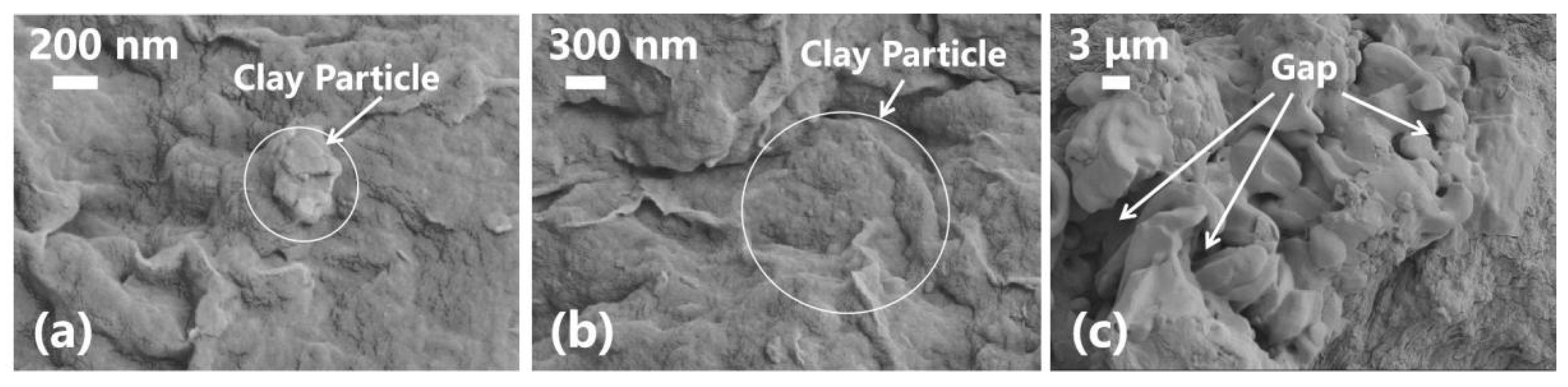 Nanomaterials 13 02092 g012 Nanomaterials 13 02092 g012