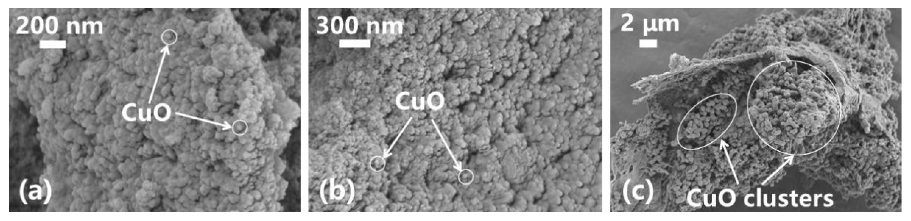 Nanomaterials 13 02092 g013 Nanomaterials 13 02092 g013