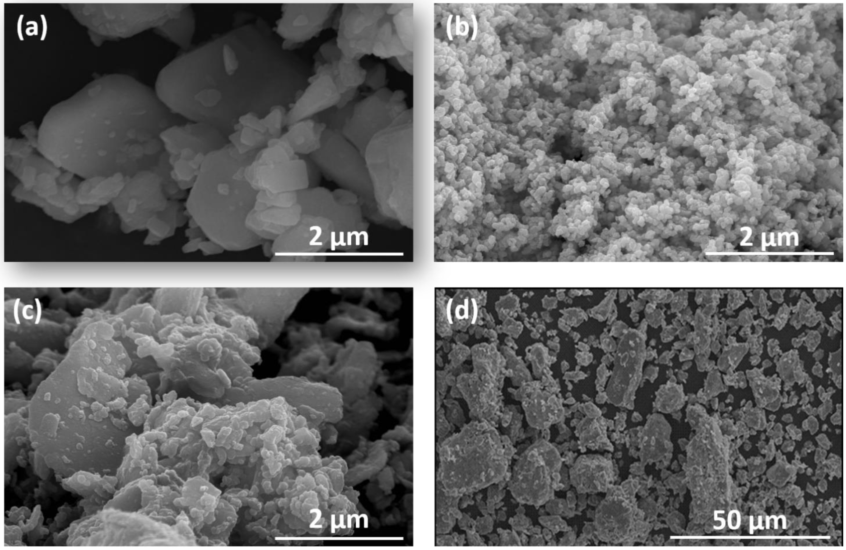 Nanomaterials 13 02097 g001