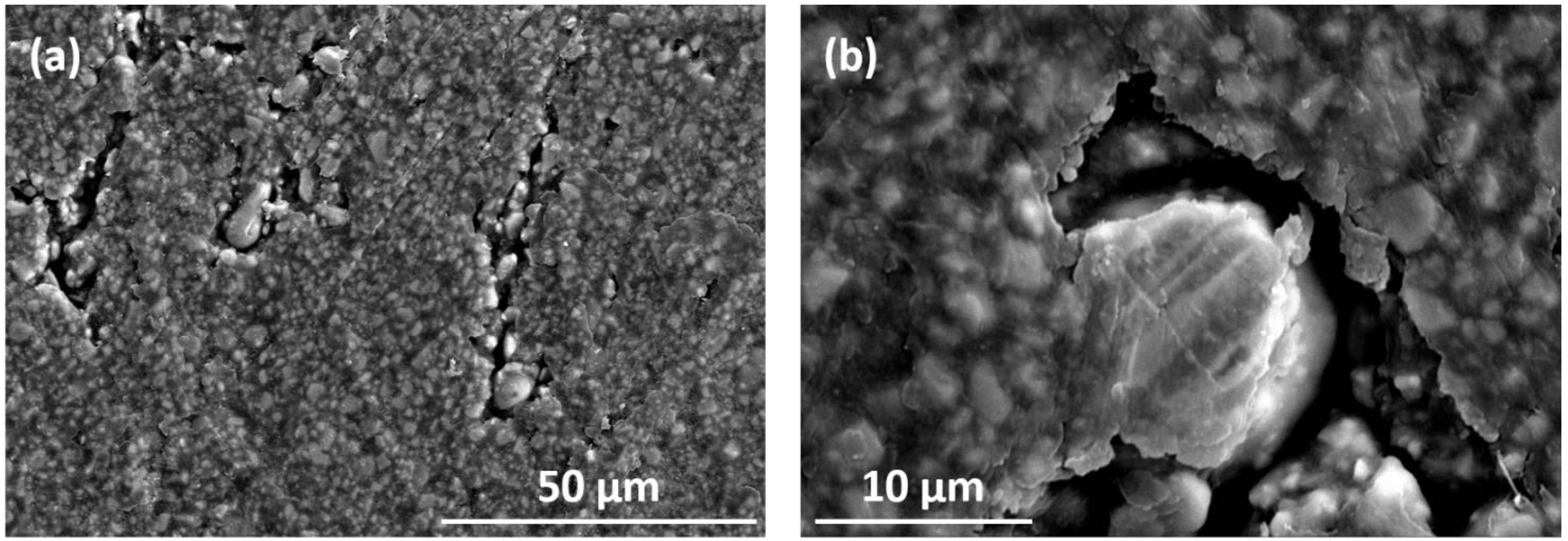 Nanomaterials 13 02097 g006