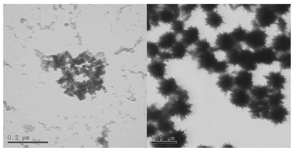Nanomaterials 13 02098 g004 Nanomaterials 13 02098 g004