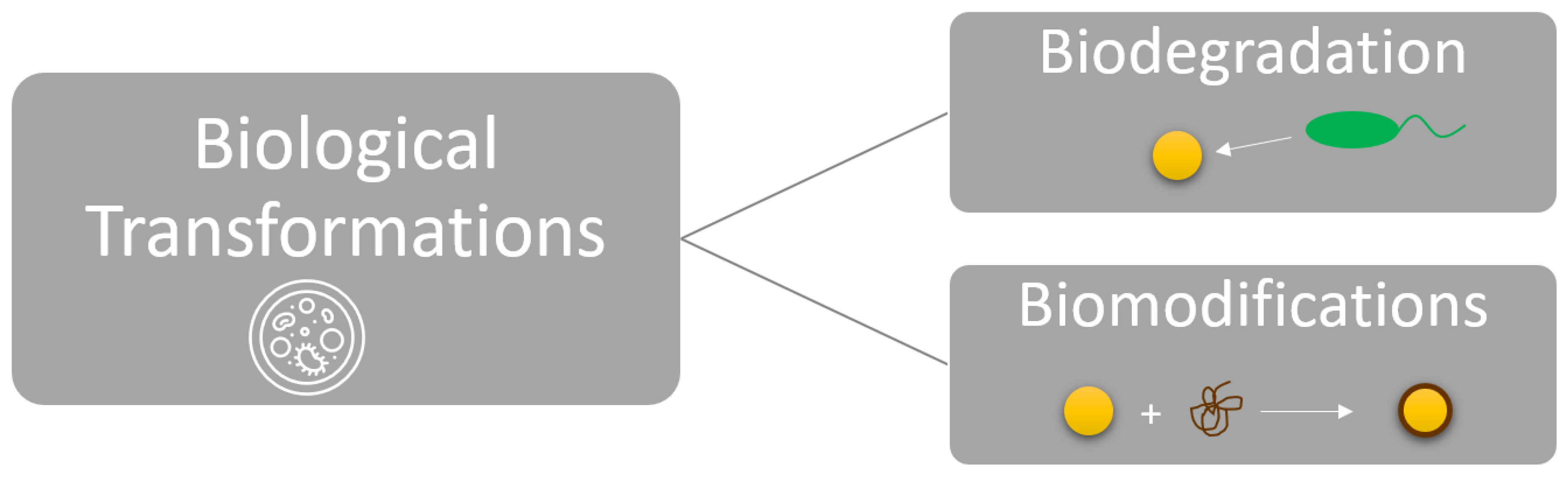 Nanomaterials 13 02098 g006 Nanomaterials 13 02098 g006