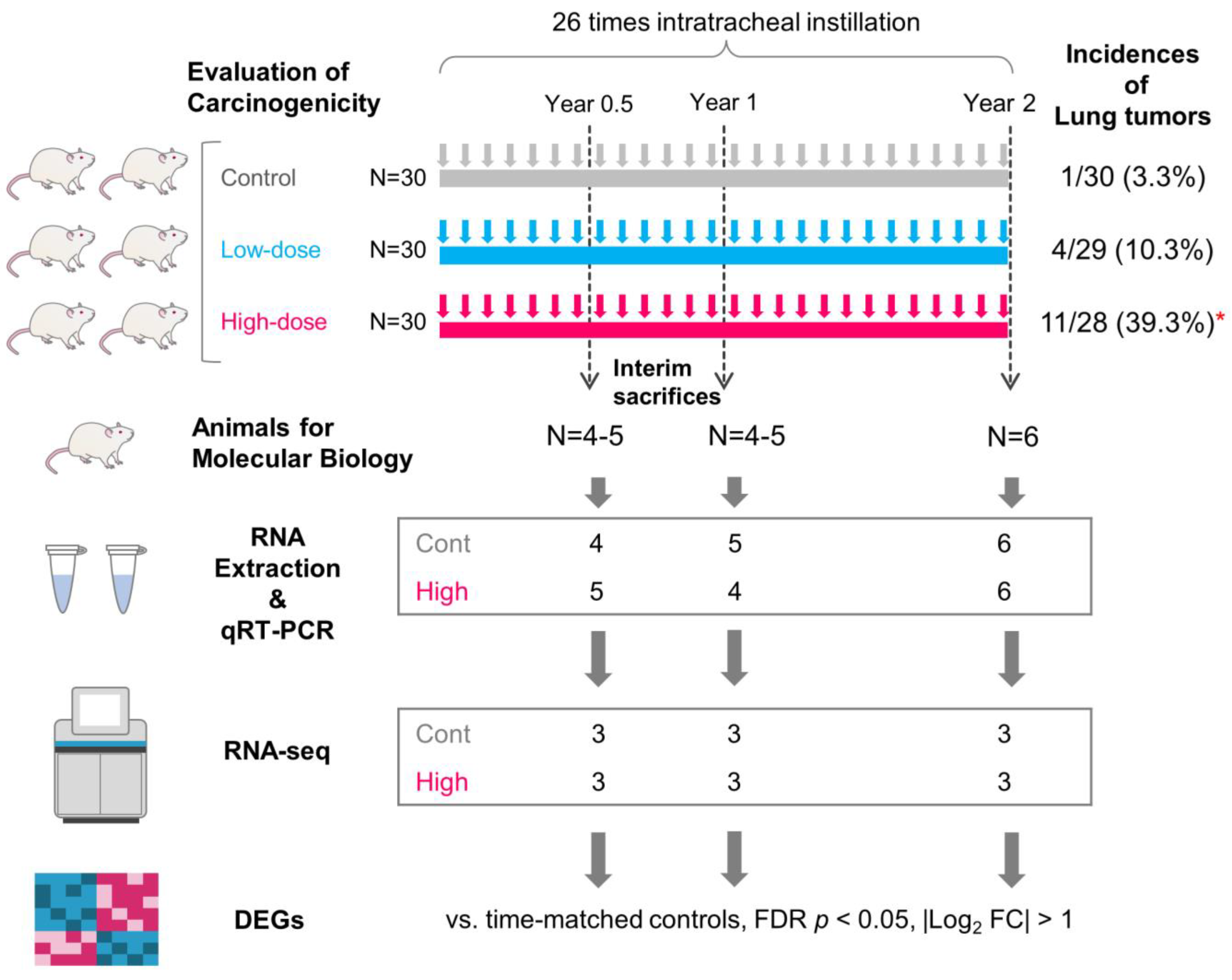 Nanomaterials 13 02105 g001