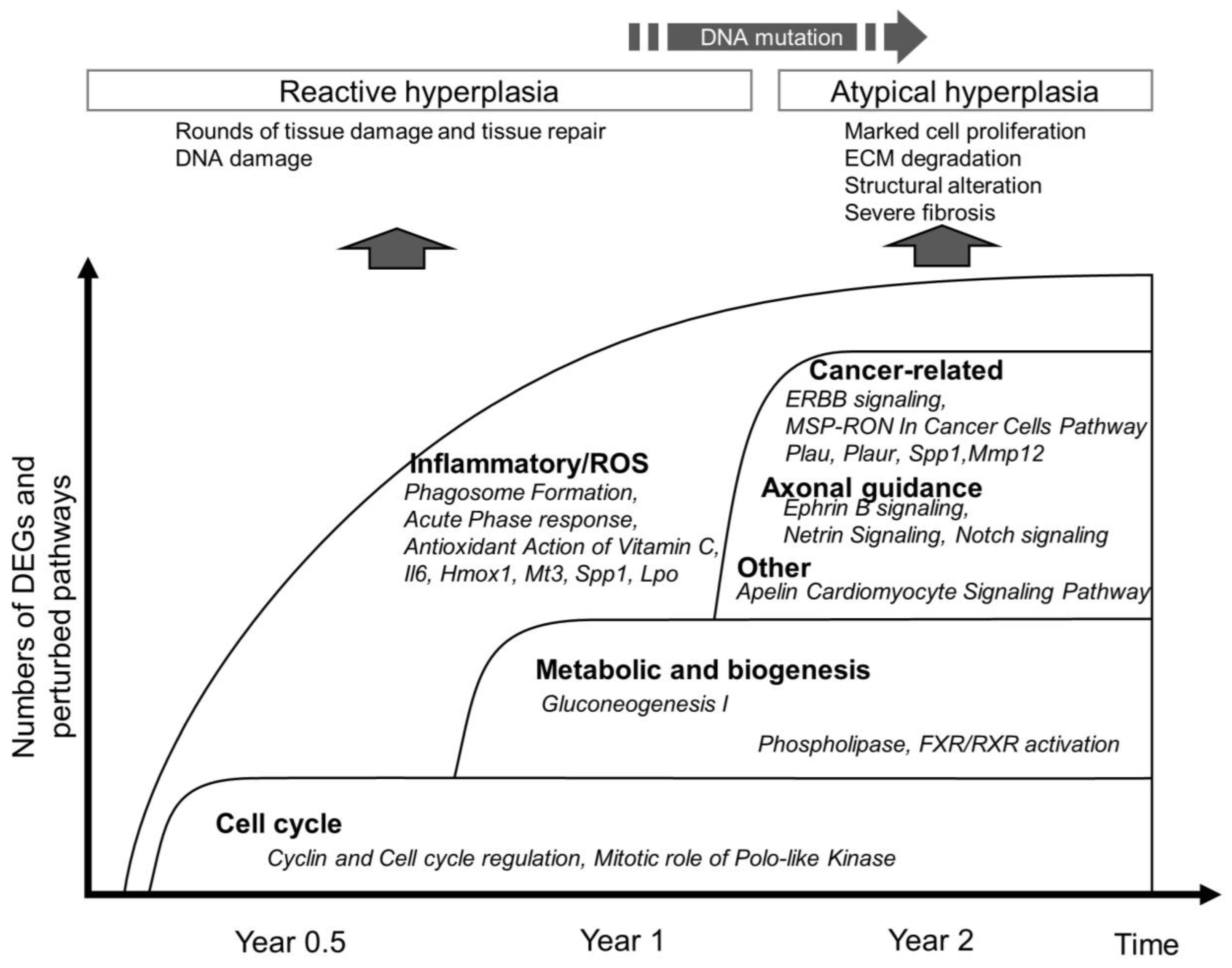 Nanomaterials 13 02105 g010