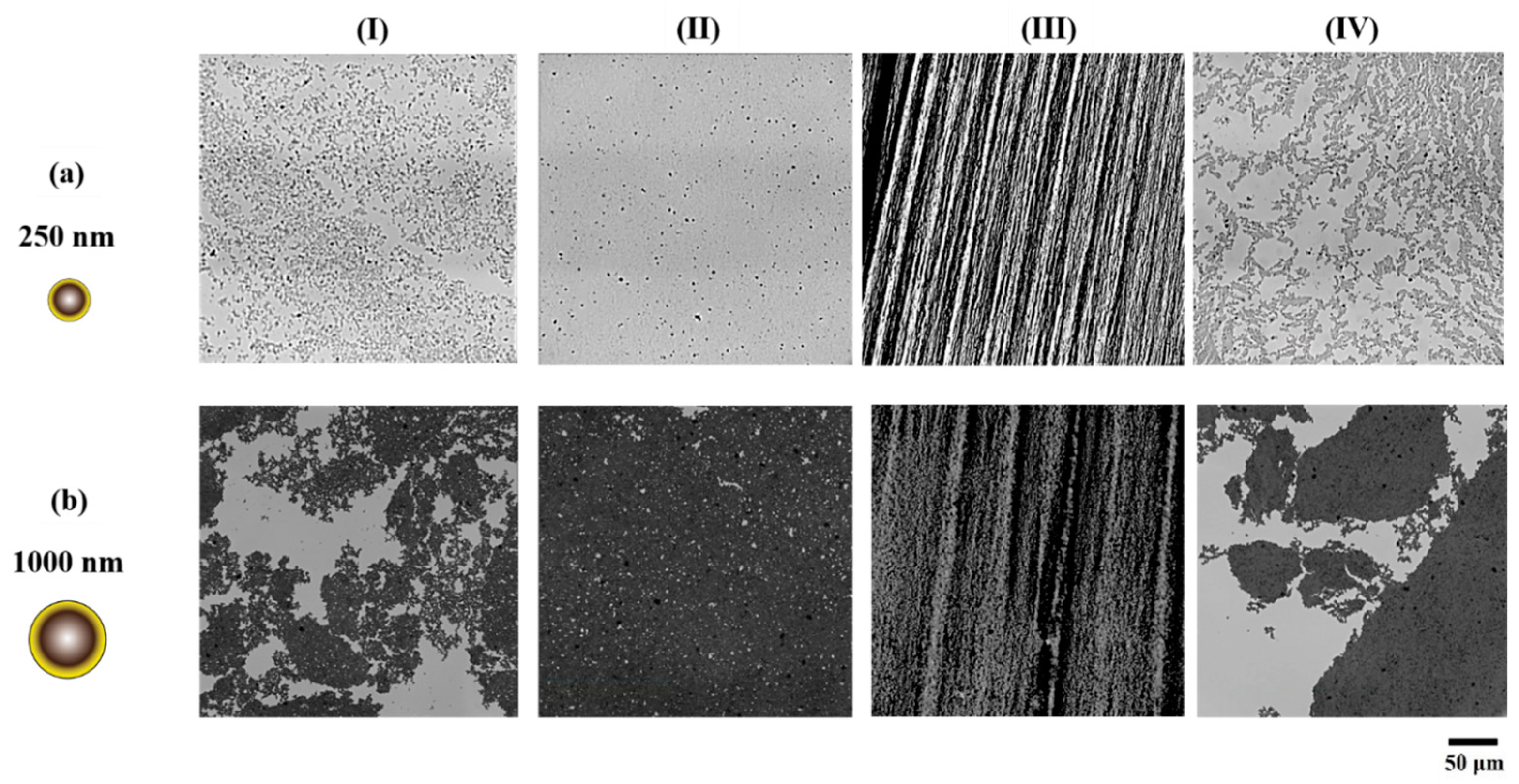 Nanomaterials 13 02114 g003