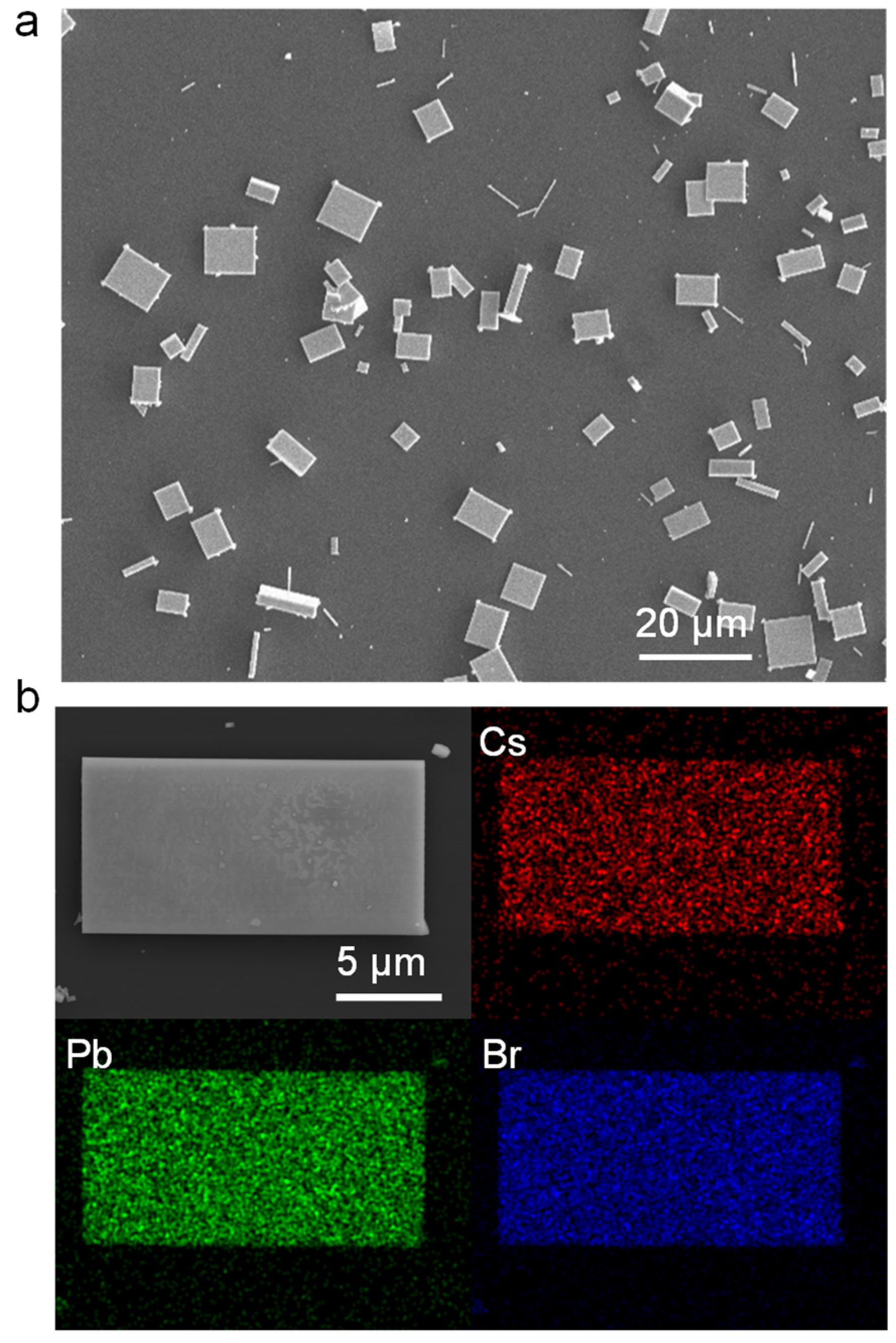 Nanomaterials 13 02116 g002 Nanomaterials 13 02116 g002