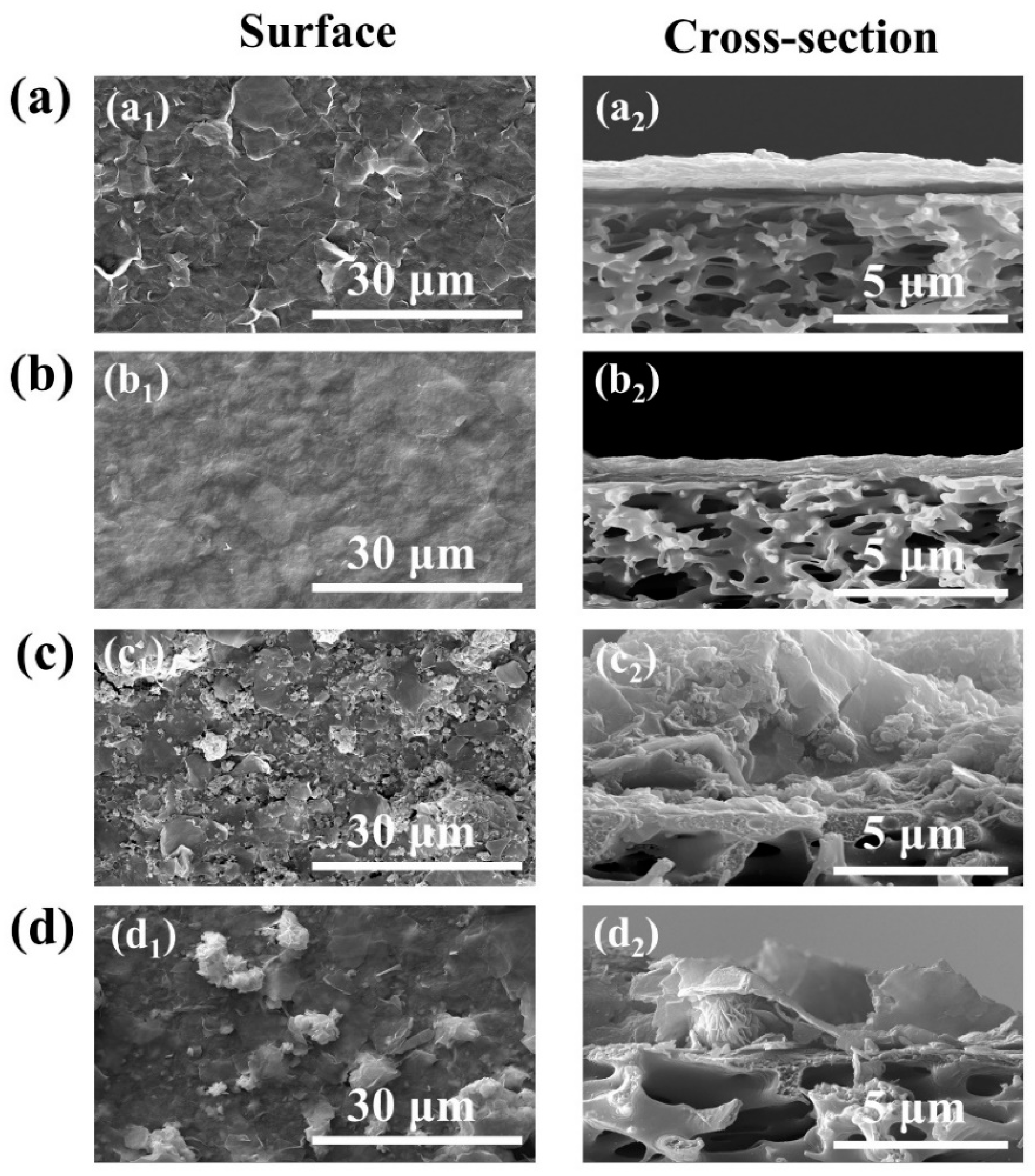 Nanomaterials 13 02121 g004 Nanomaterials 13 02121 g004