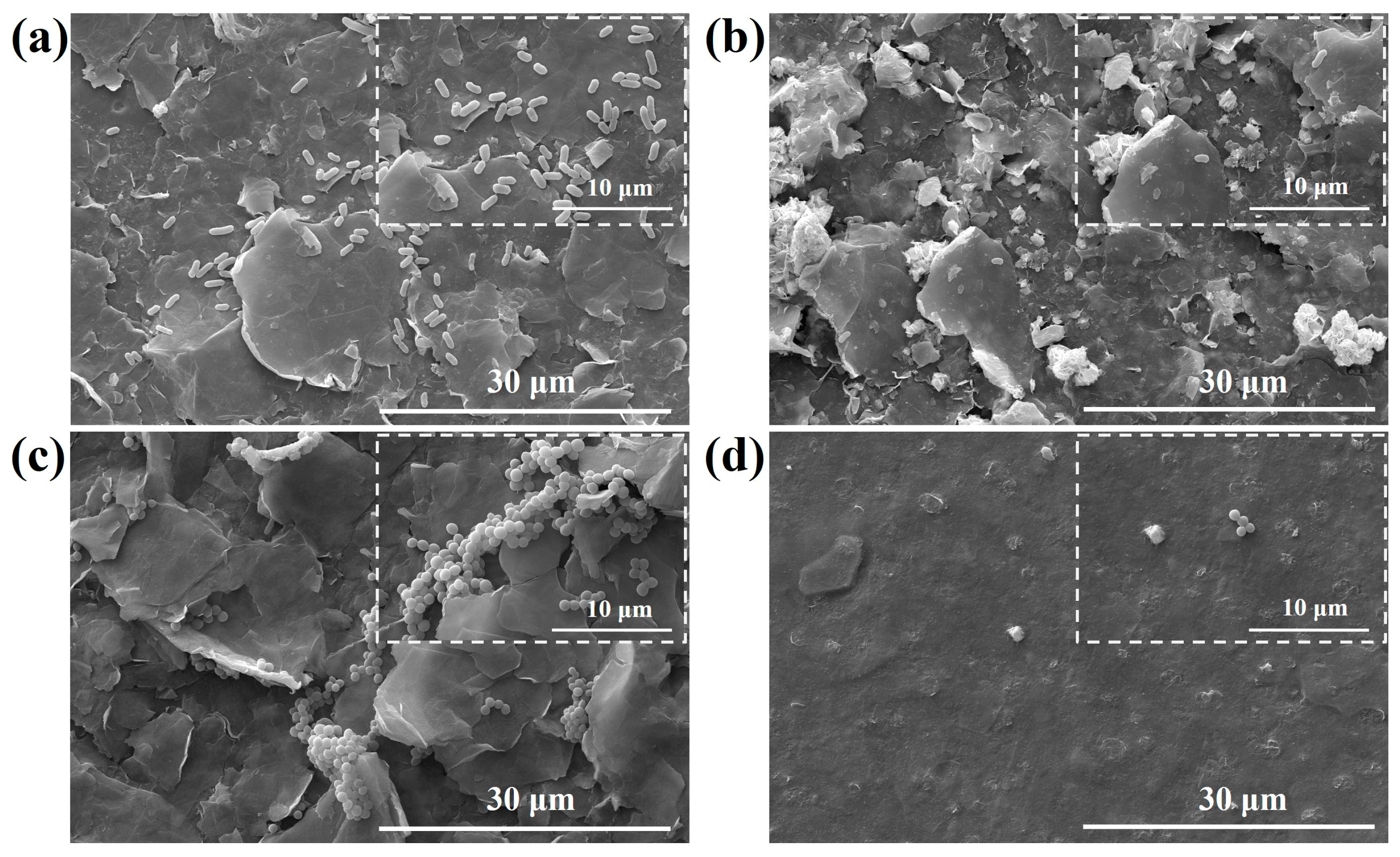 Nanomaterials 13 02121 g009 Nanomaterials 13 02121 g009
