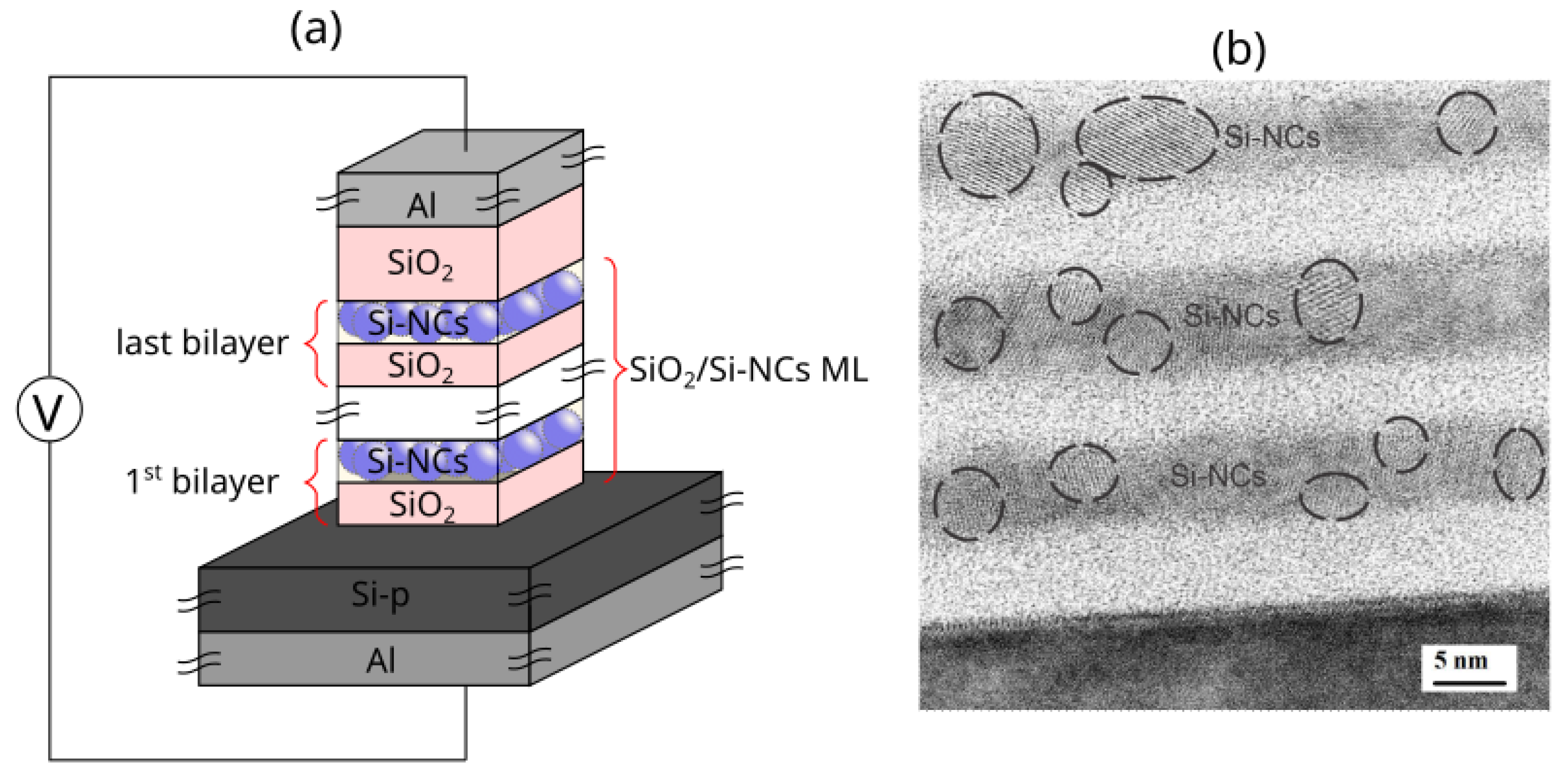Nanomaterials 13 02124 g001