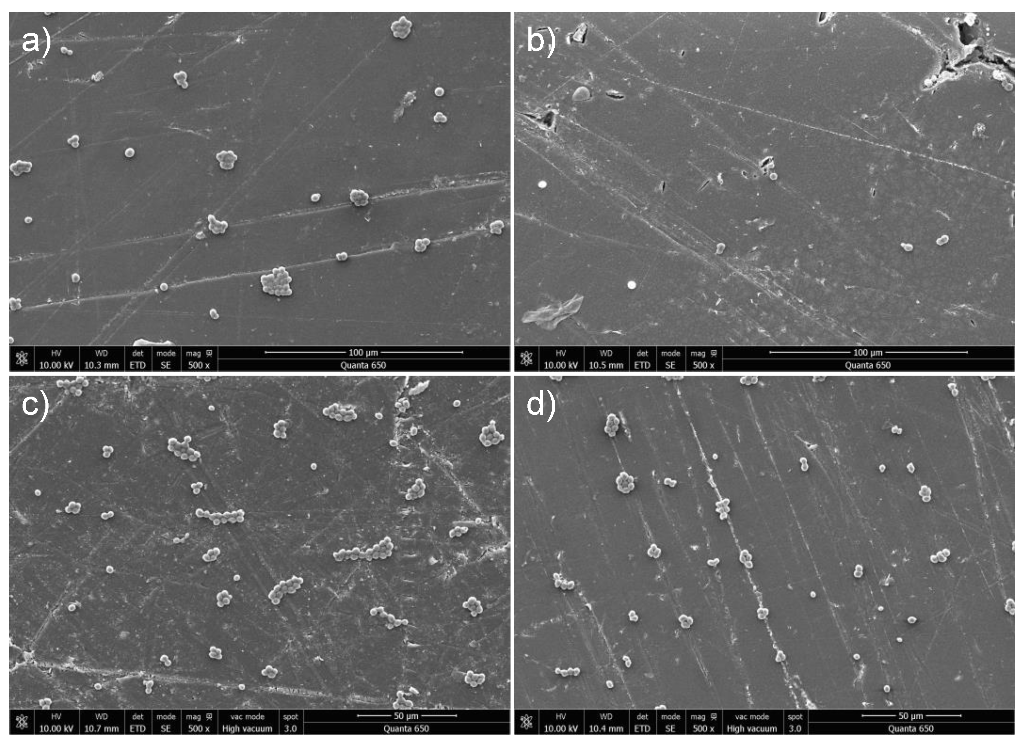 Nanomaterials 13 02128 g006 Nanomaterials 13 02128 g006