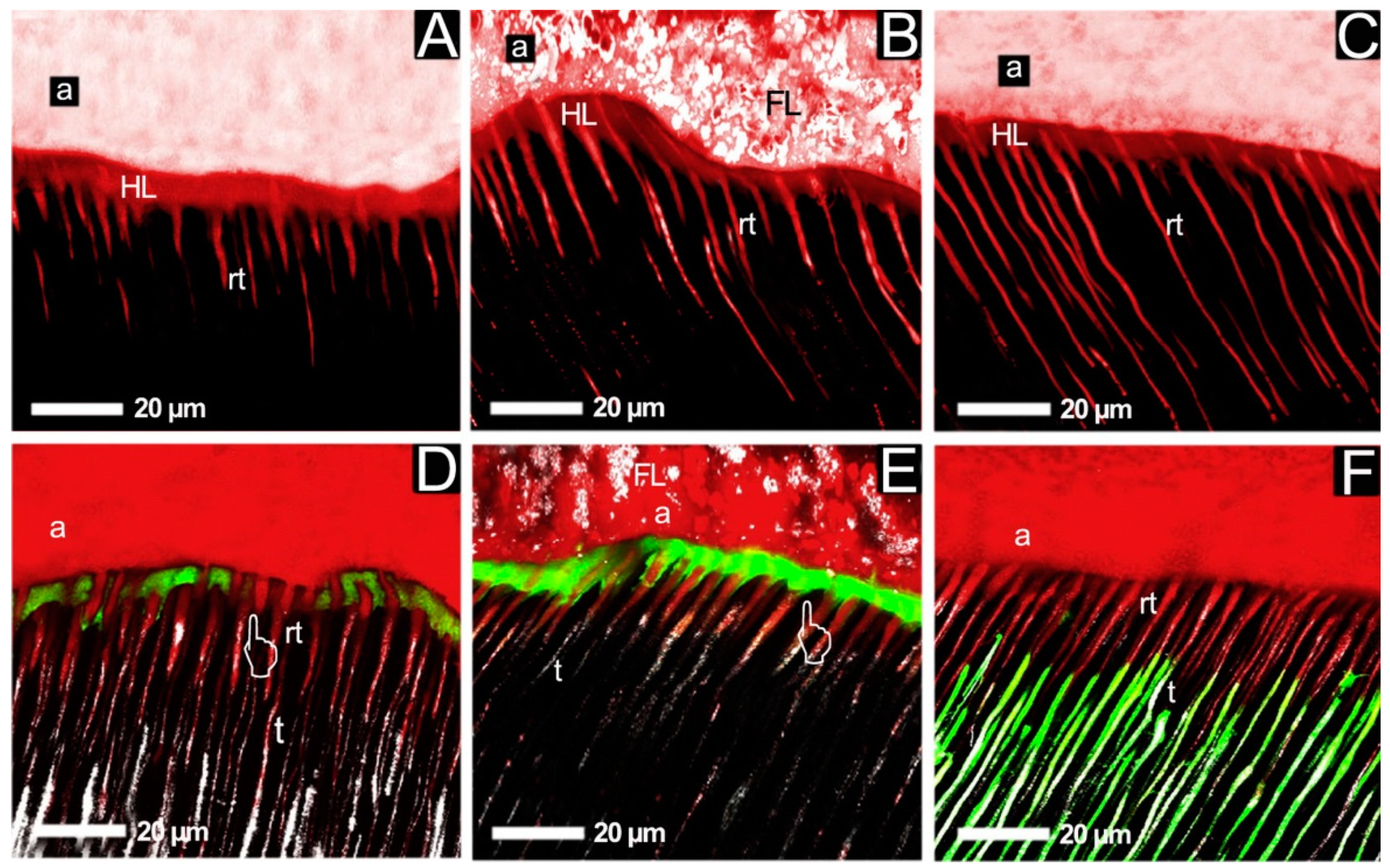 Nanomaterials 13 02130 g004